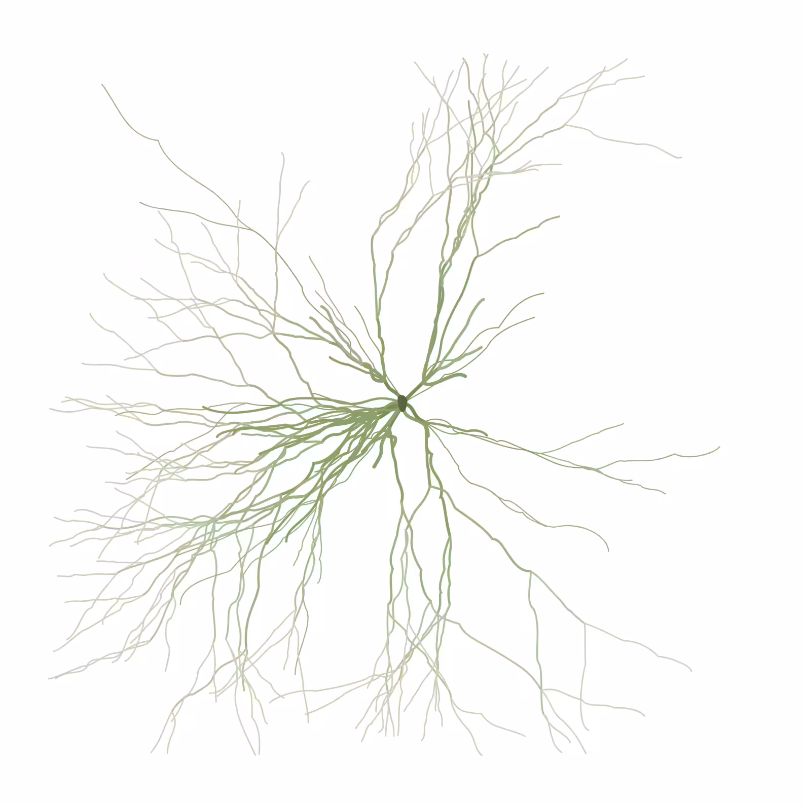 Ghost Forest Seedling #521