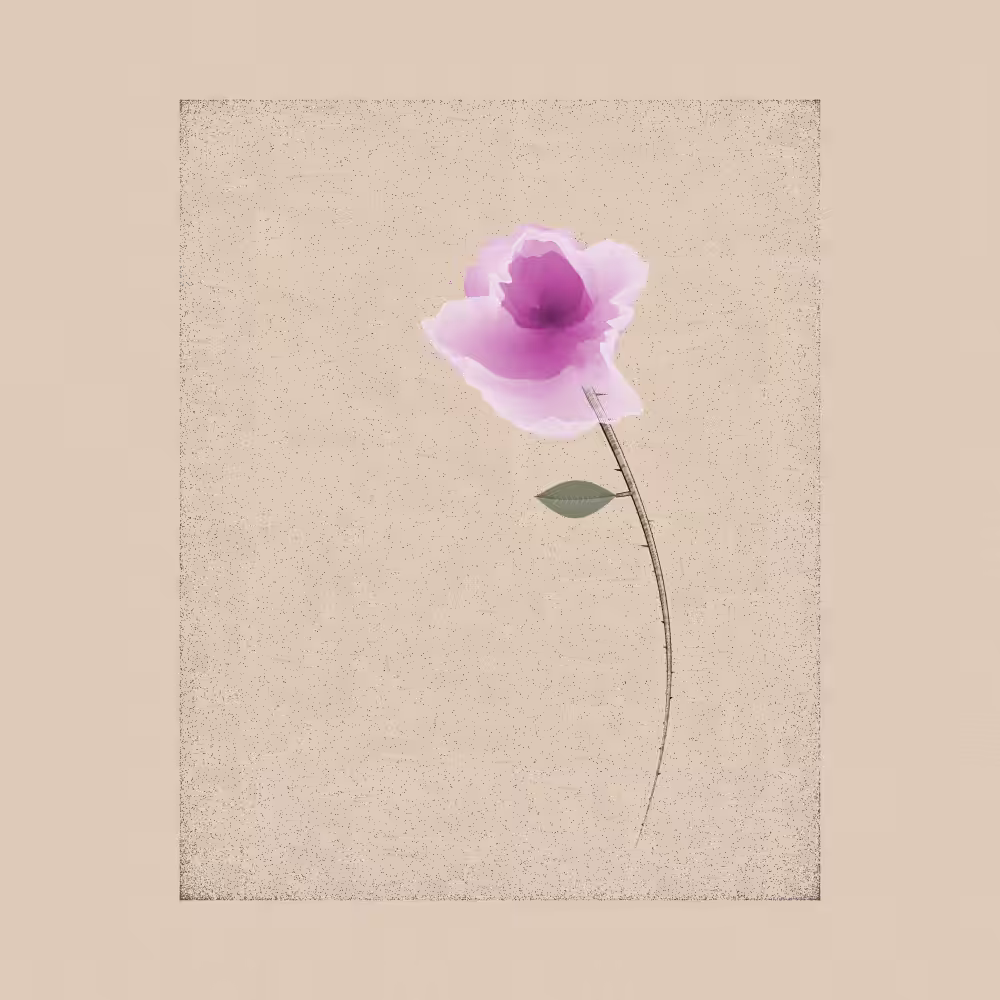Magnolia #71