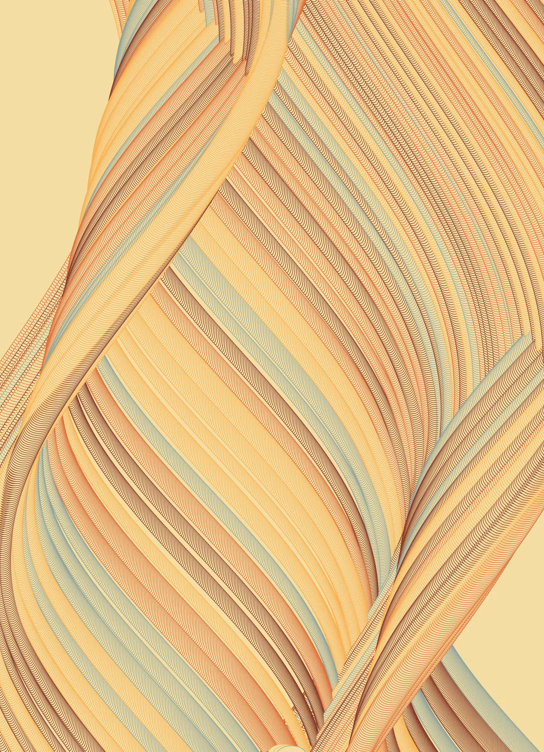 FOREST 03