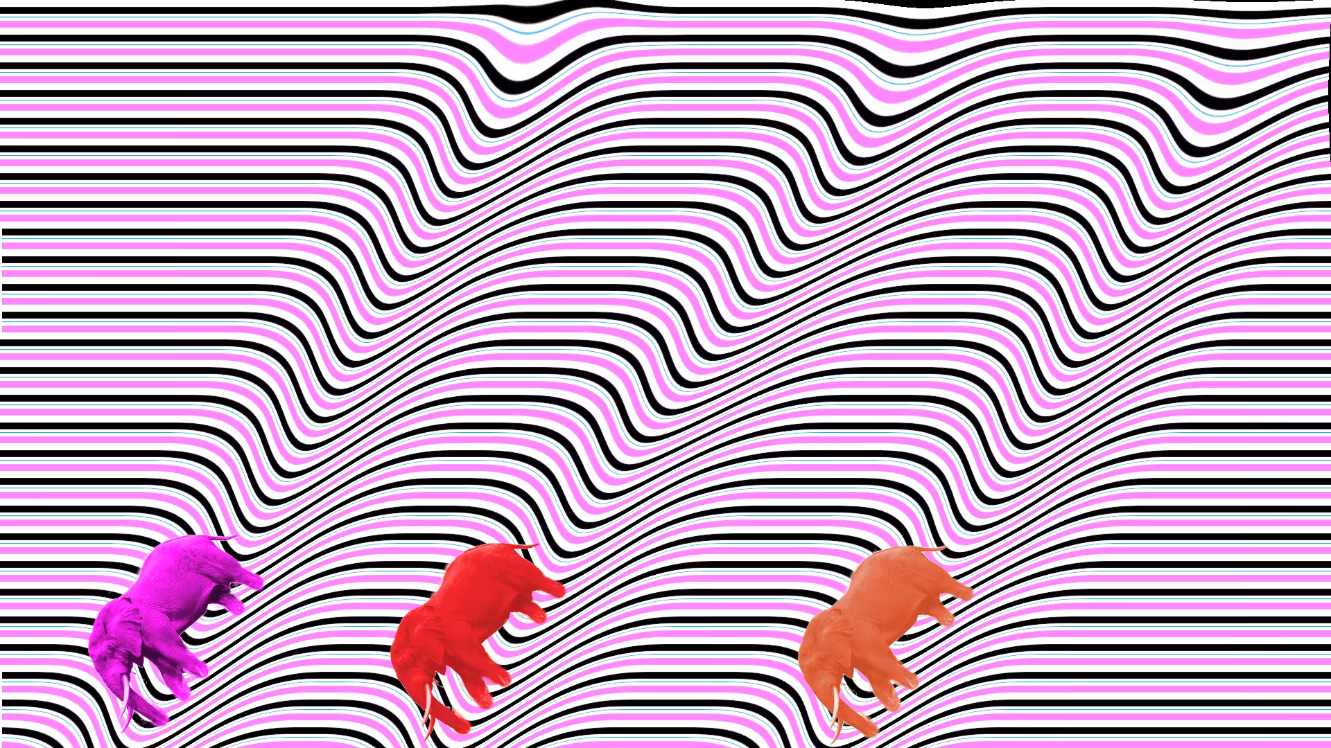 ||The Elephants Paradise||