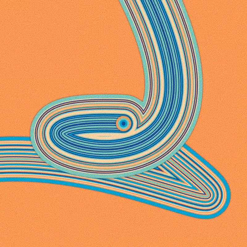 sinuosity #173
