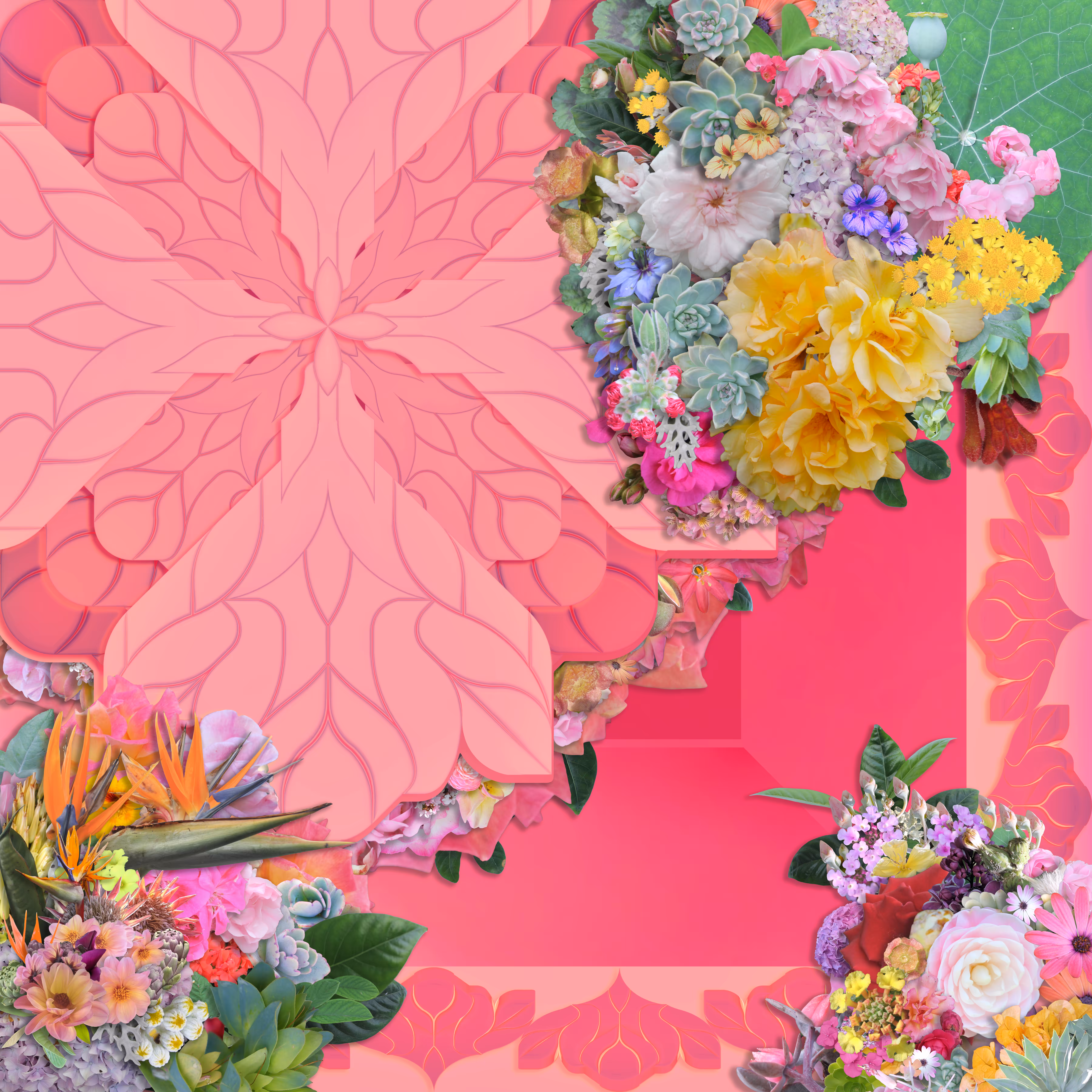 Immutable Bloom