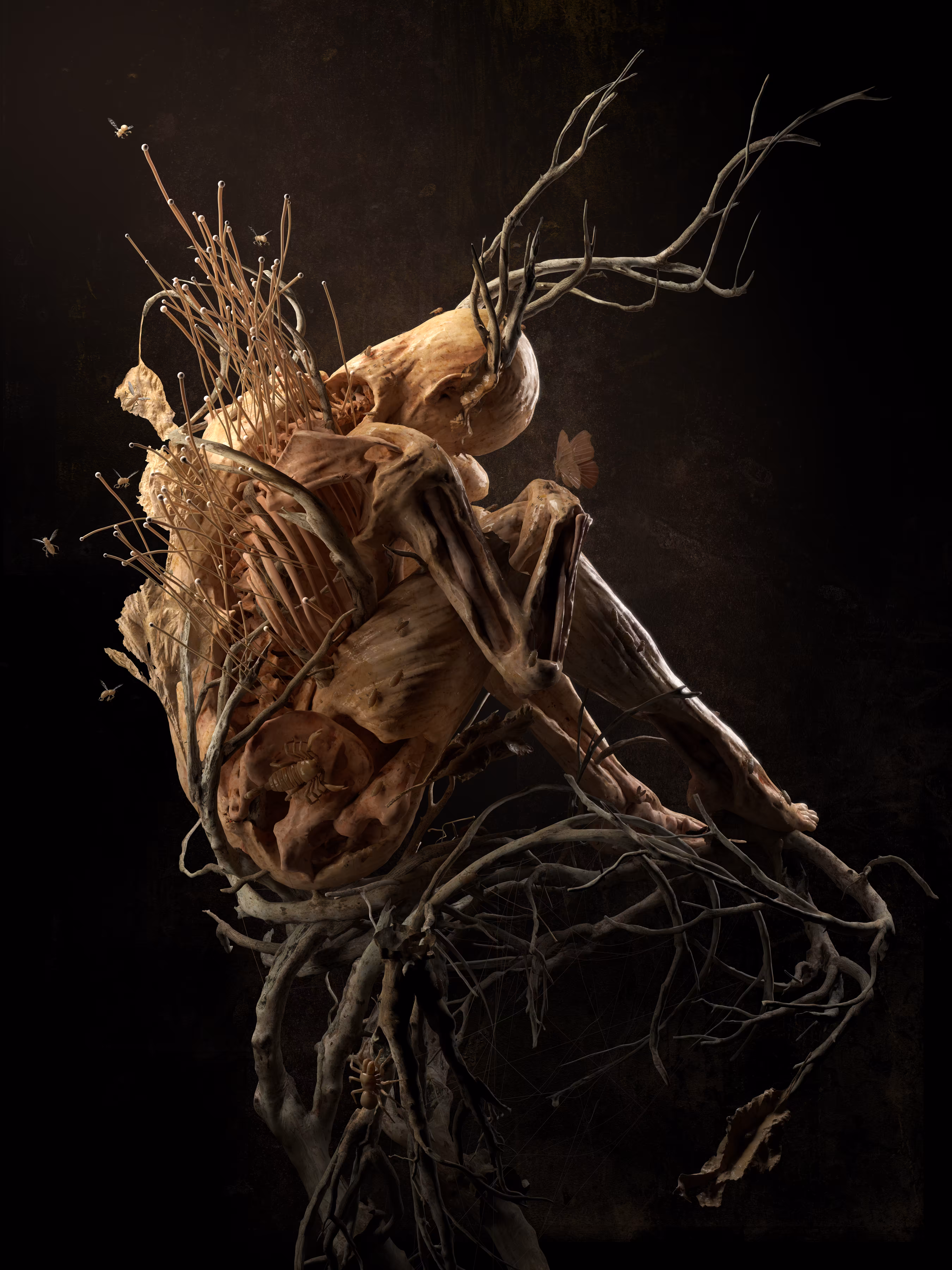 Bloom - Roots