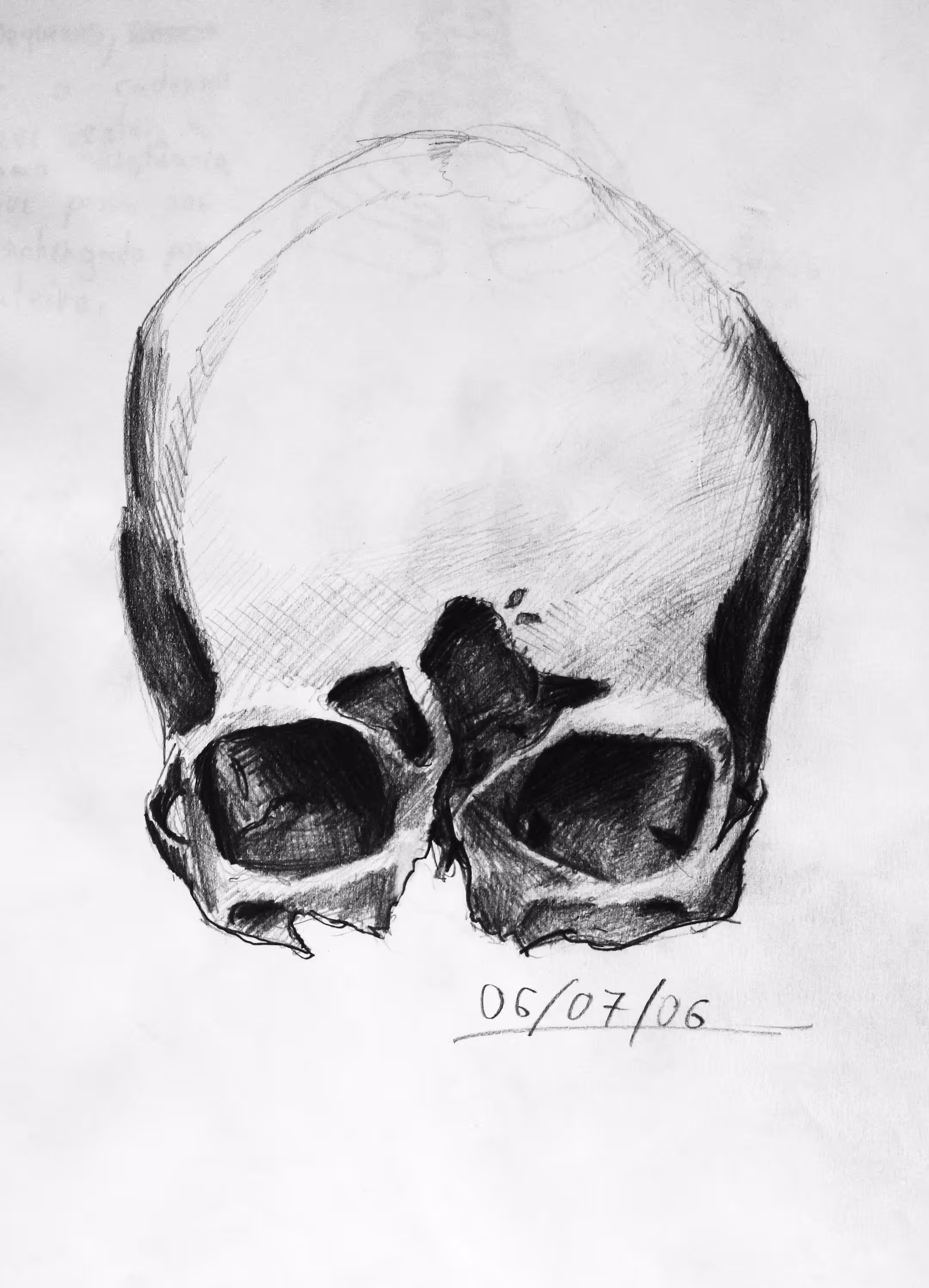 Anatomy Study II