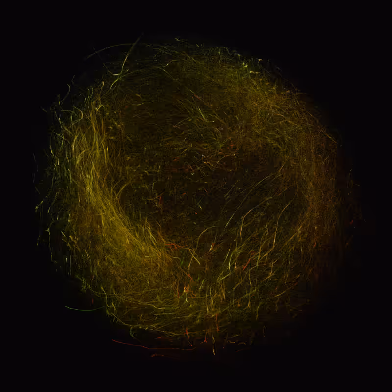 balls in vector fields #85