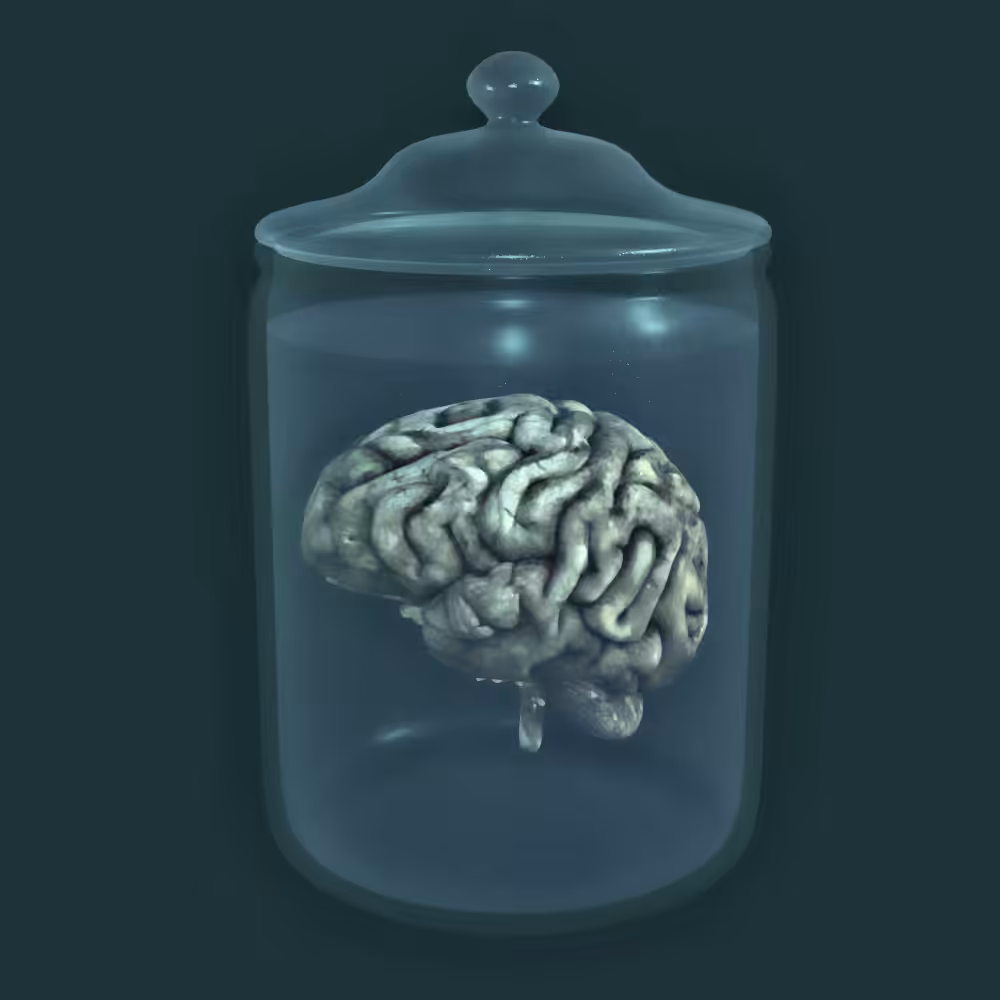 Mermaid Brain