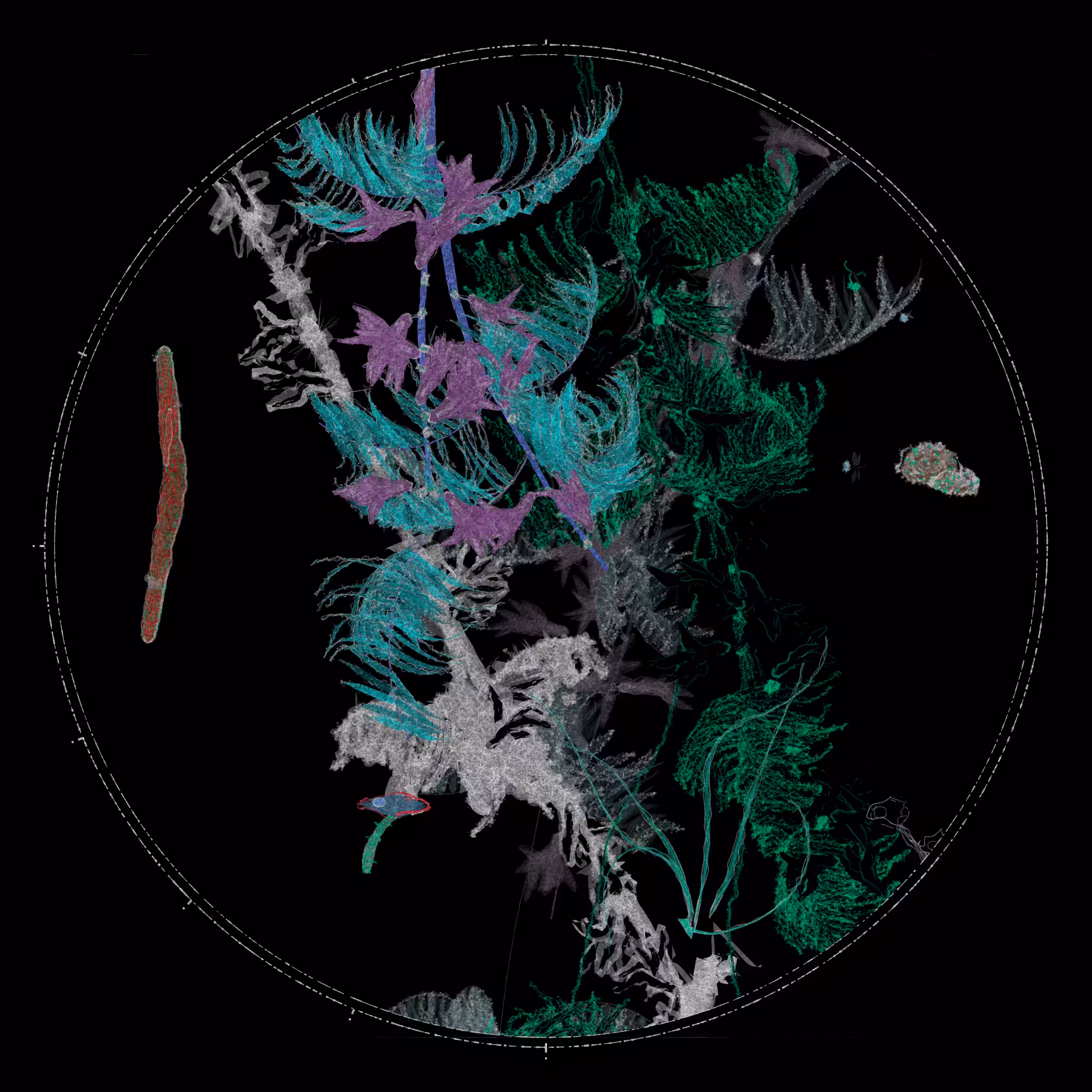 Polypaths | 植徑集 #170