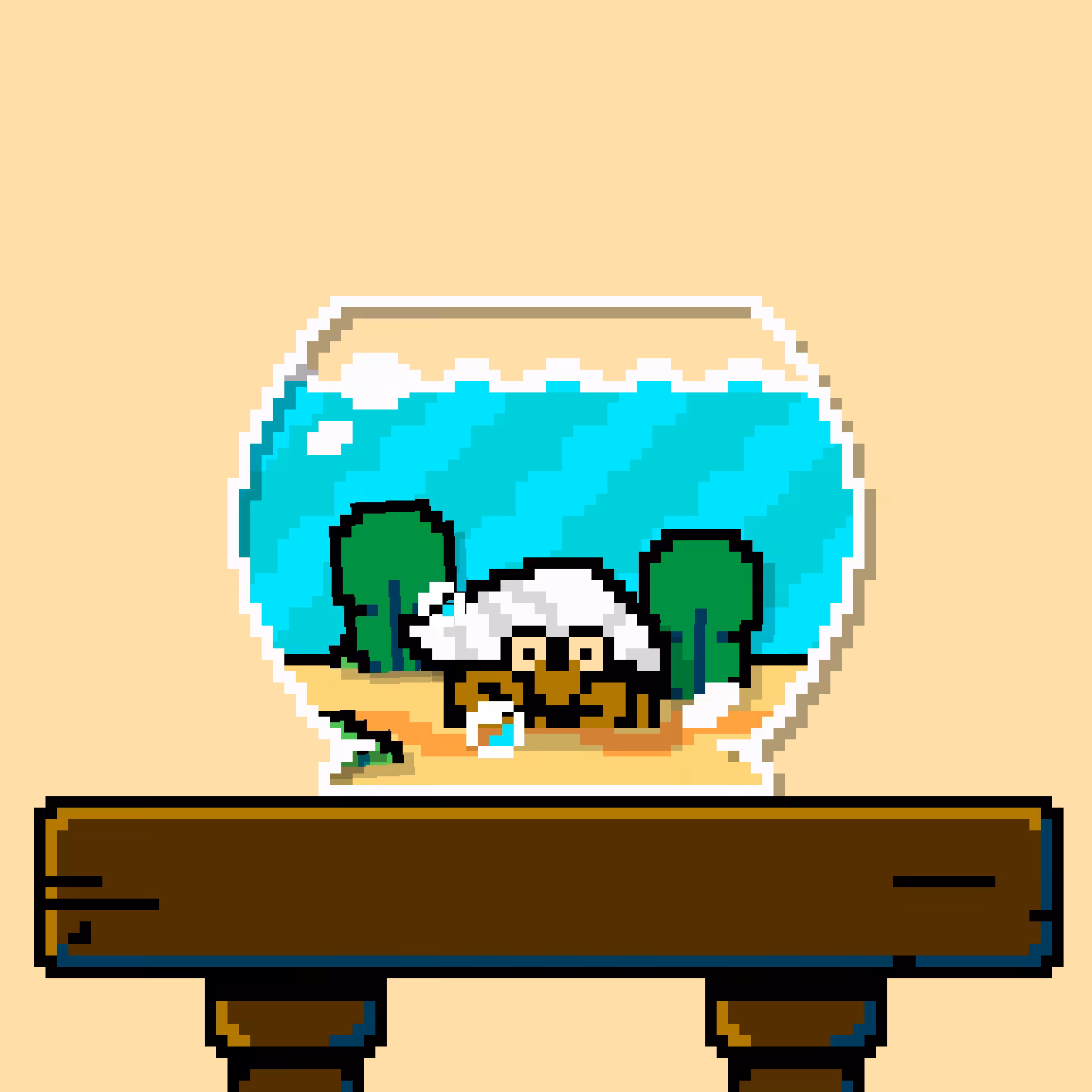 hermit crab #148
