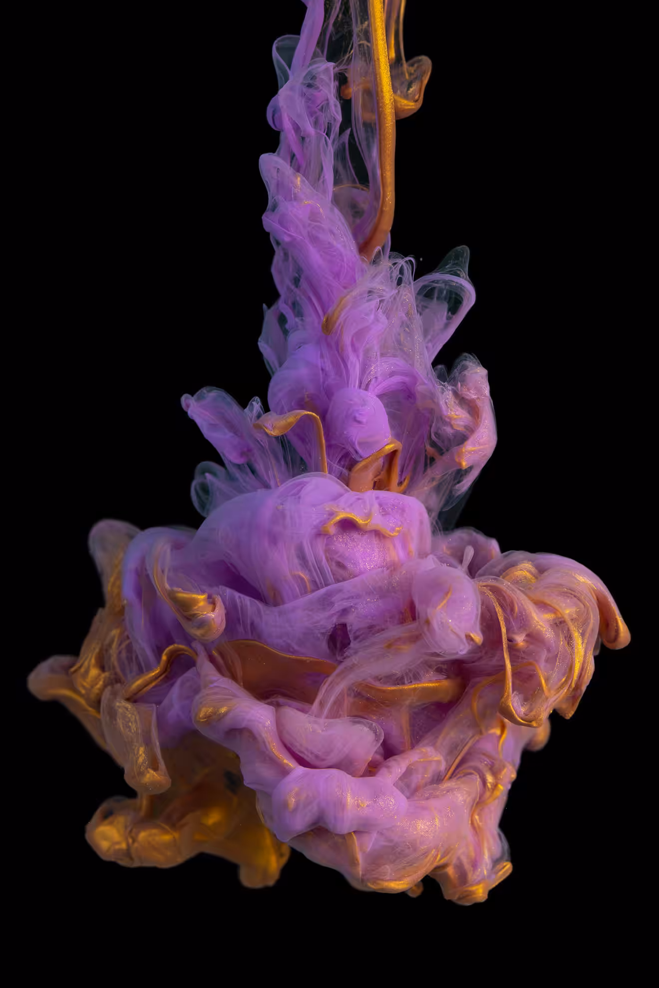 High speed Photography series N°33