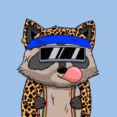 Raccoon #621