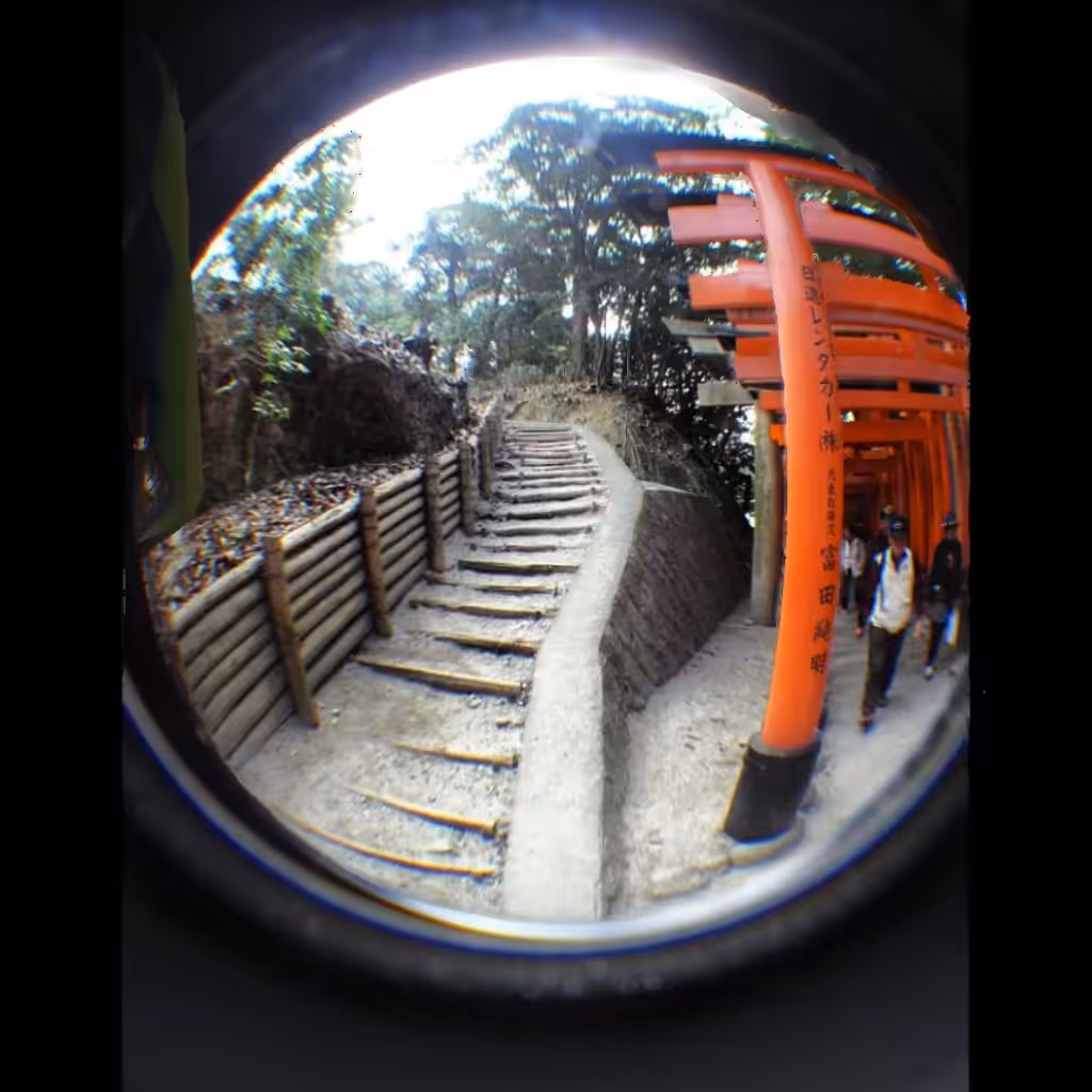 Glimplse into Japan