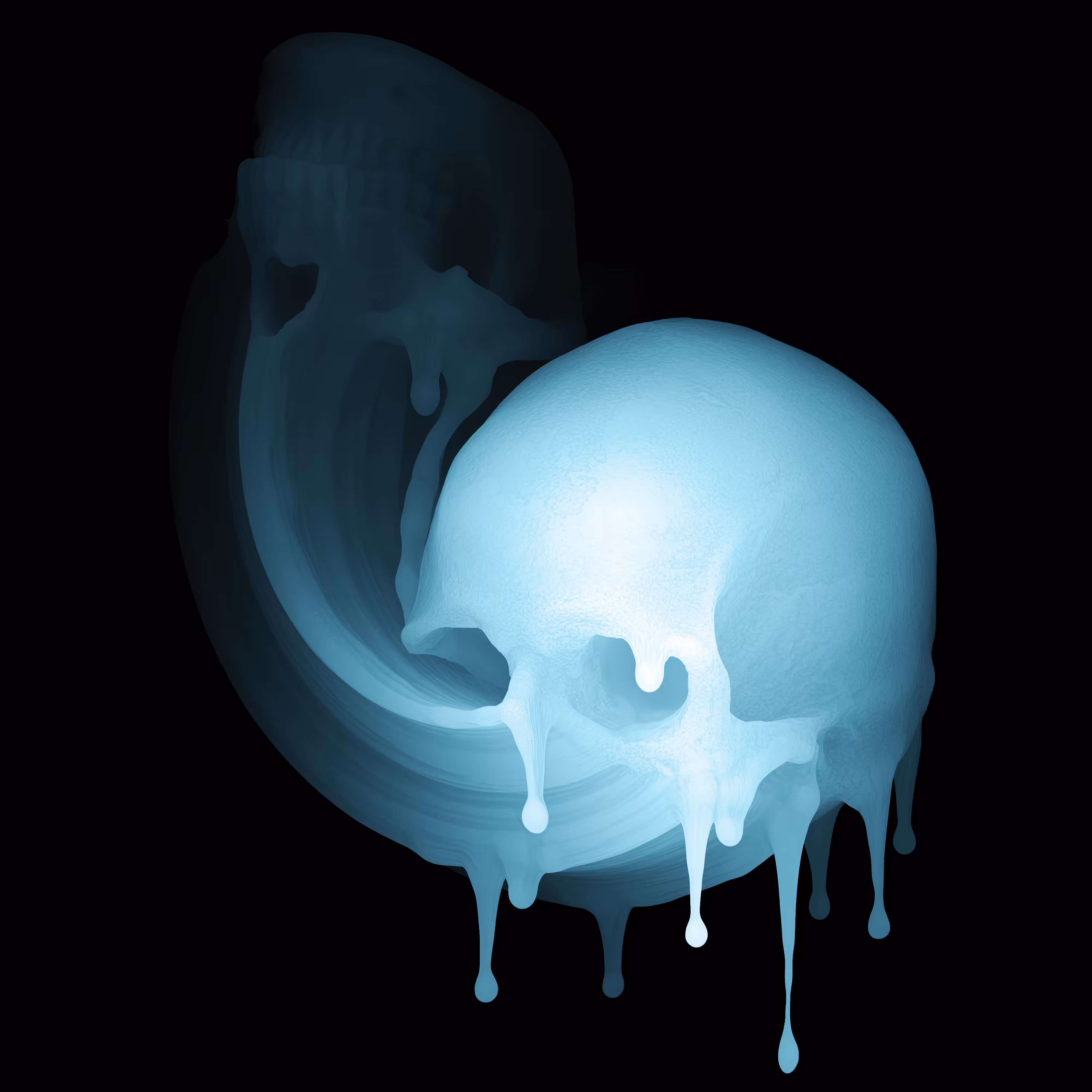 Skin Hodlr #01 (X-ray)