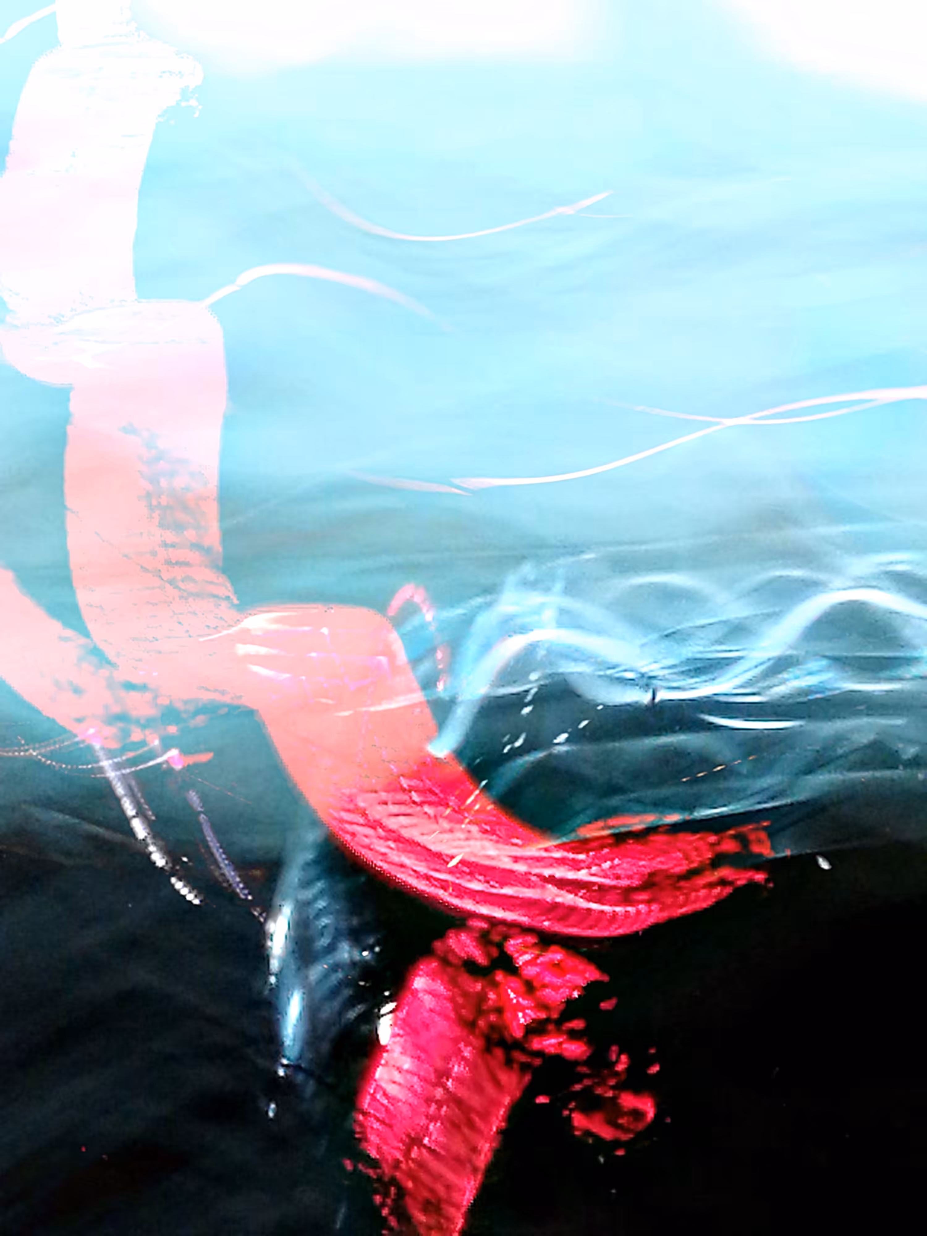 Flow
