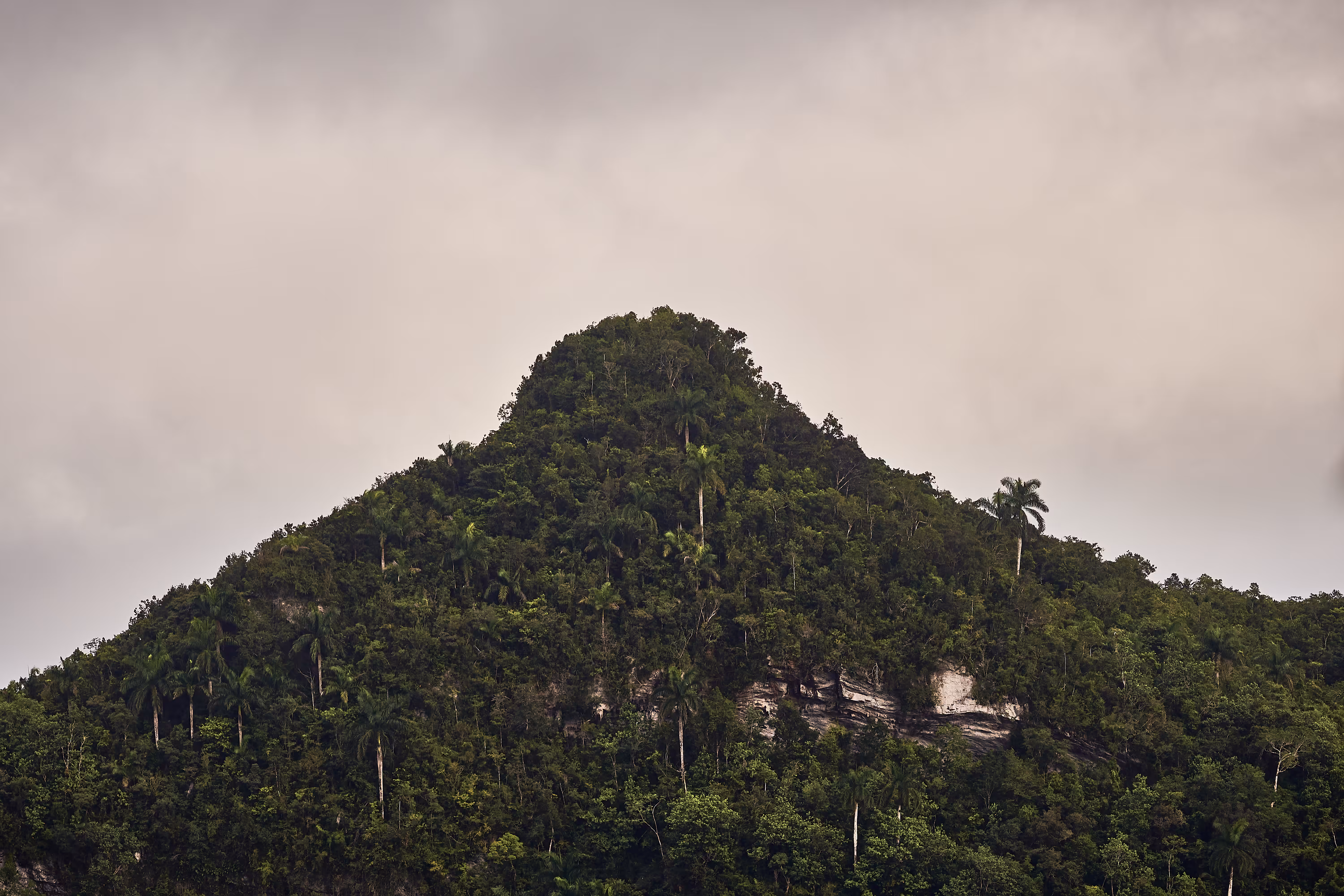 tit mountain
