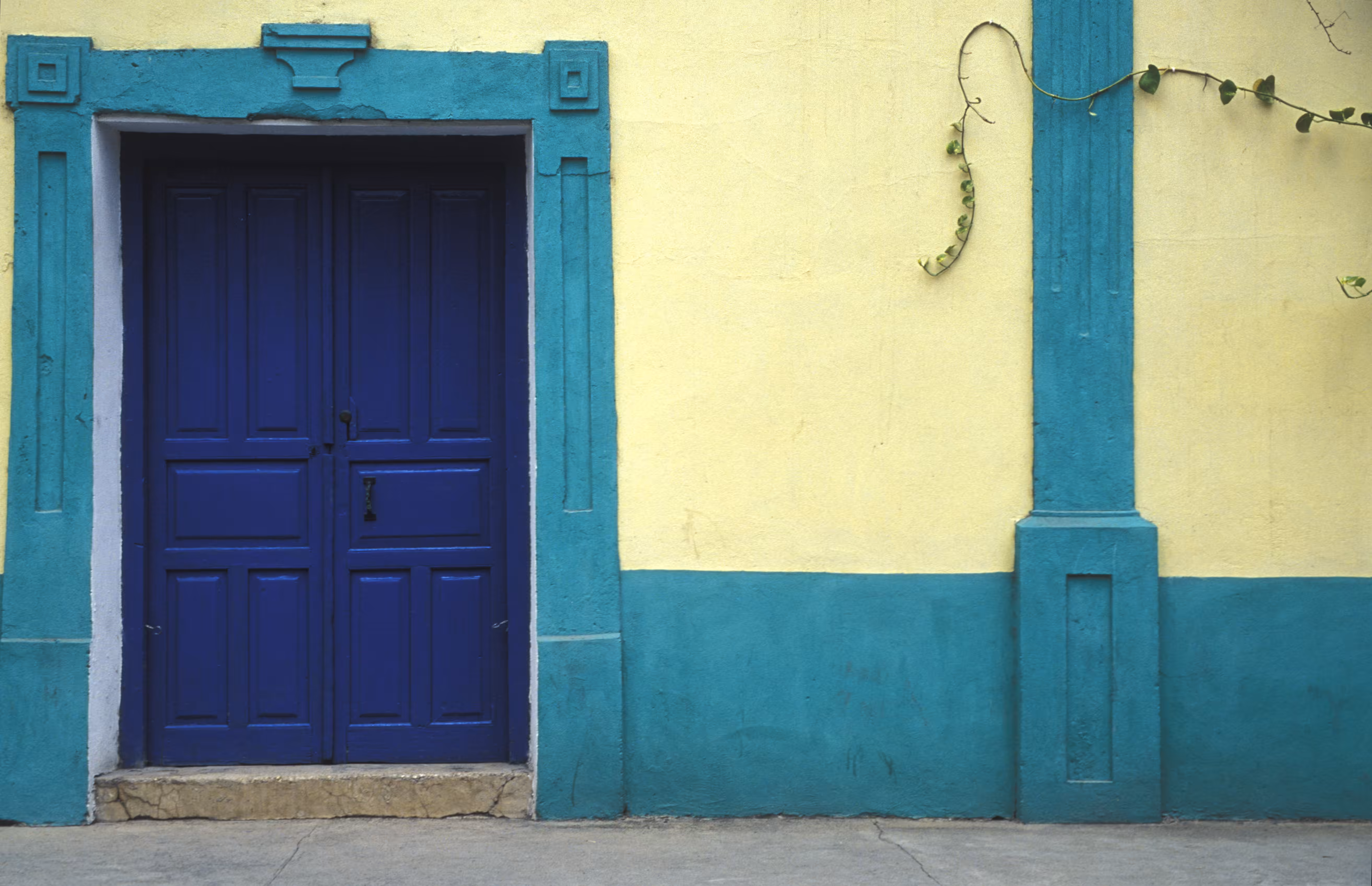 Blue Door with Vine