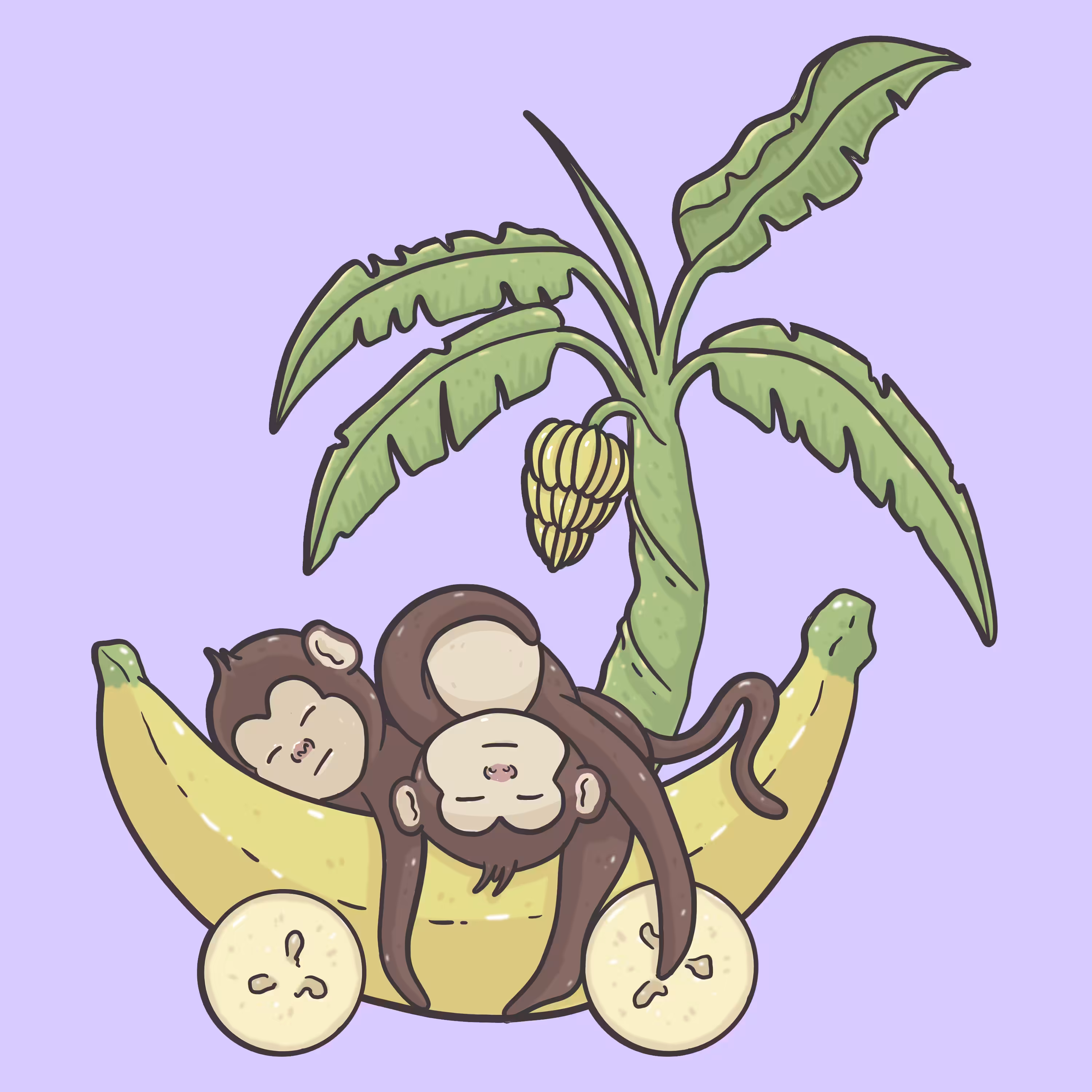 Sleepy Monkeys