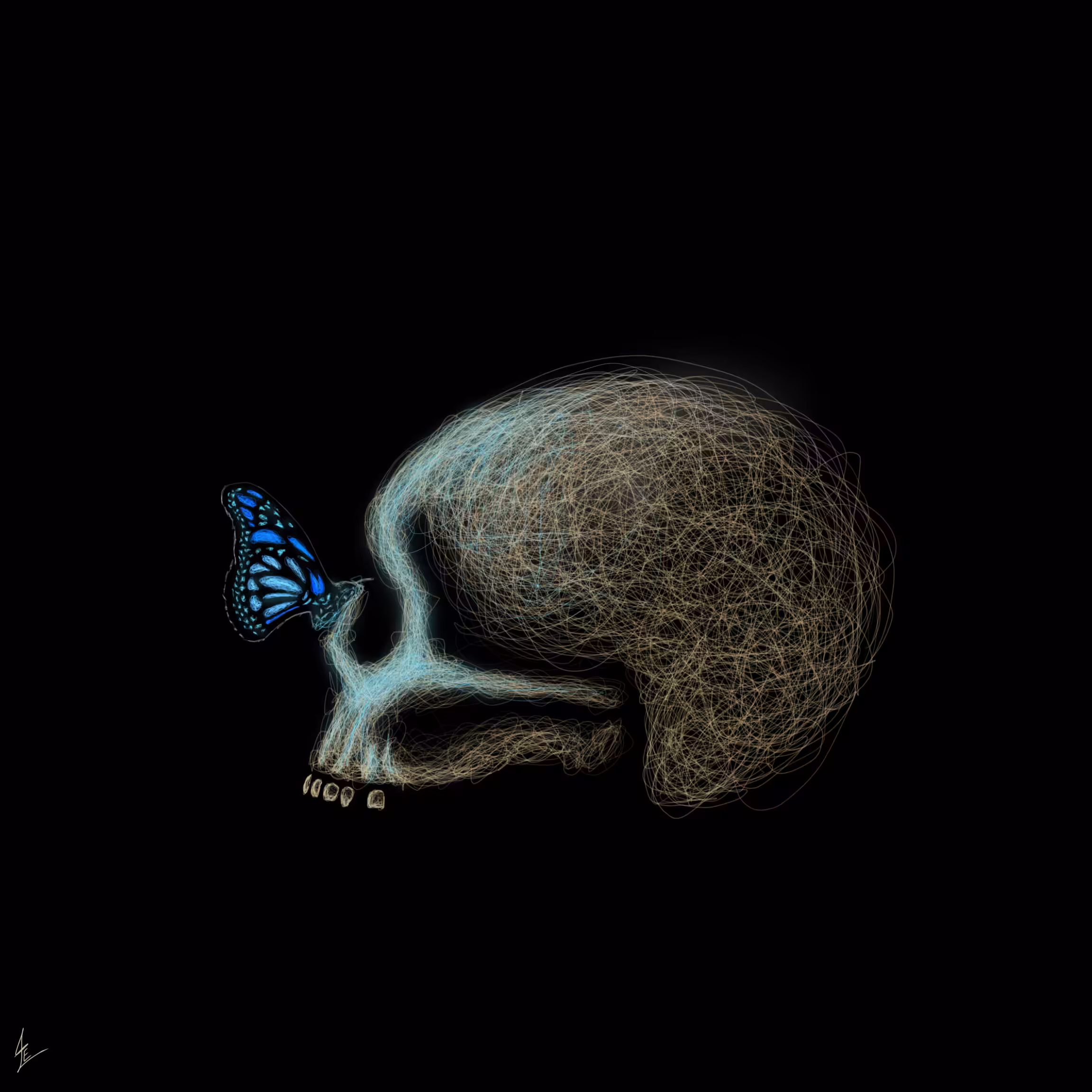 Immortality