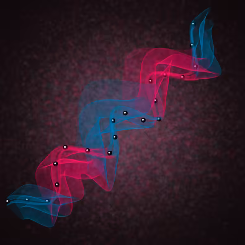 Flimsy #47