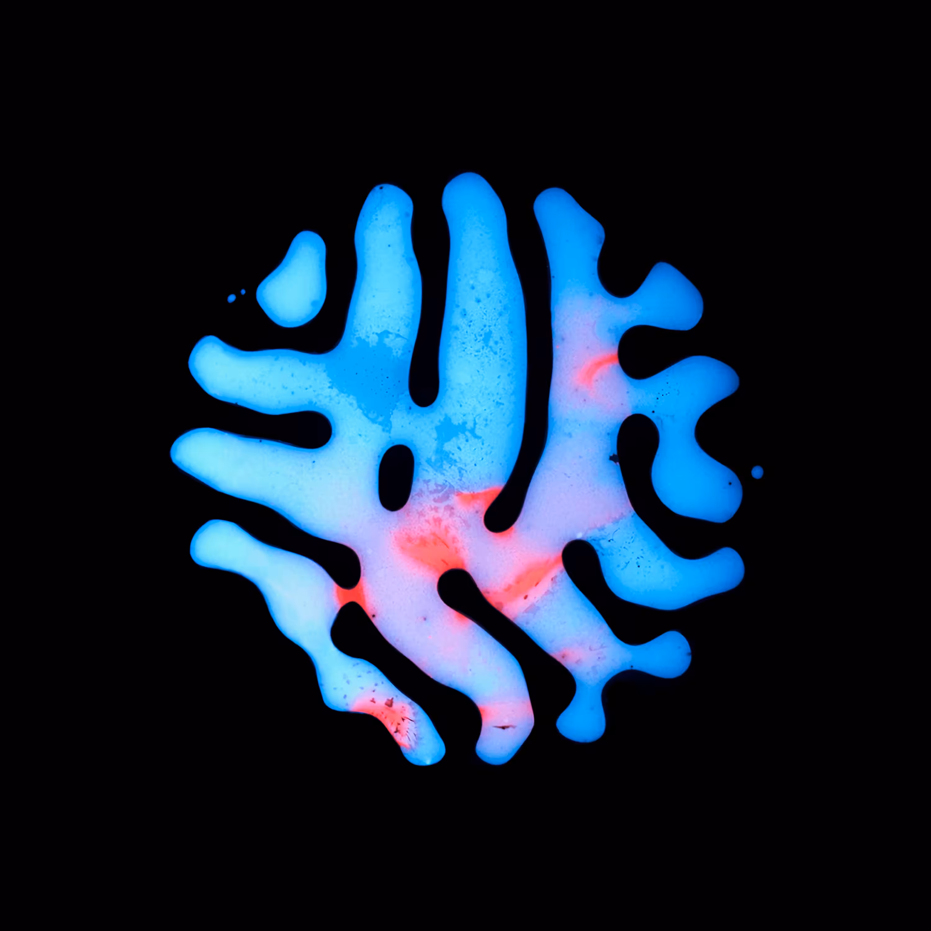 Haematopoiesis #212