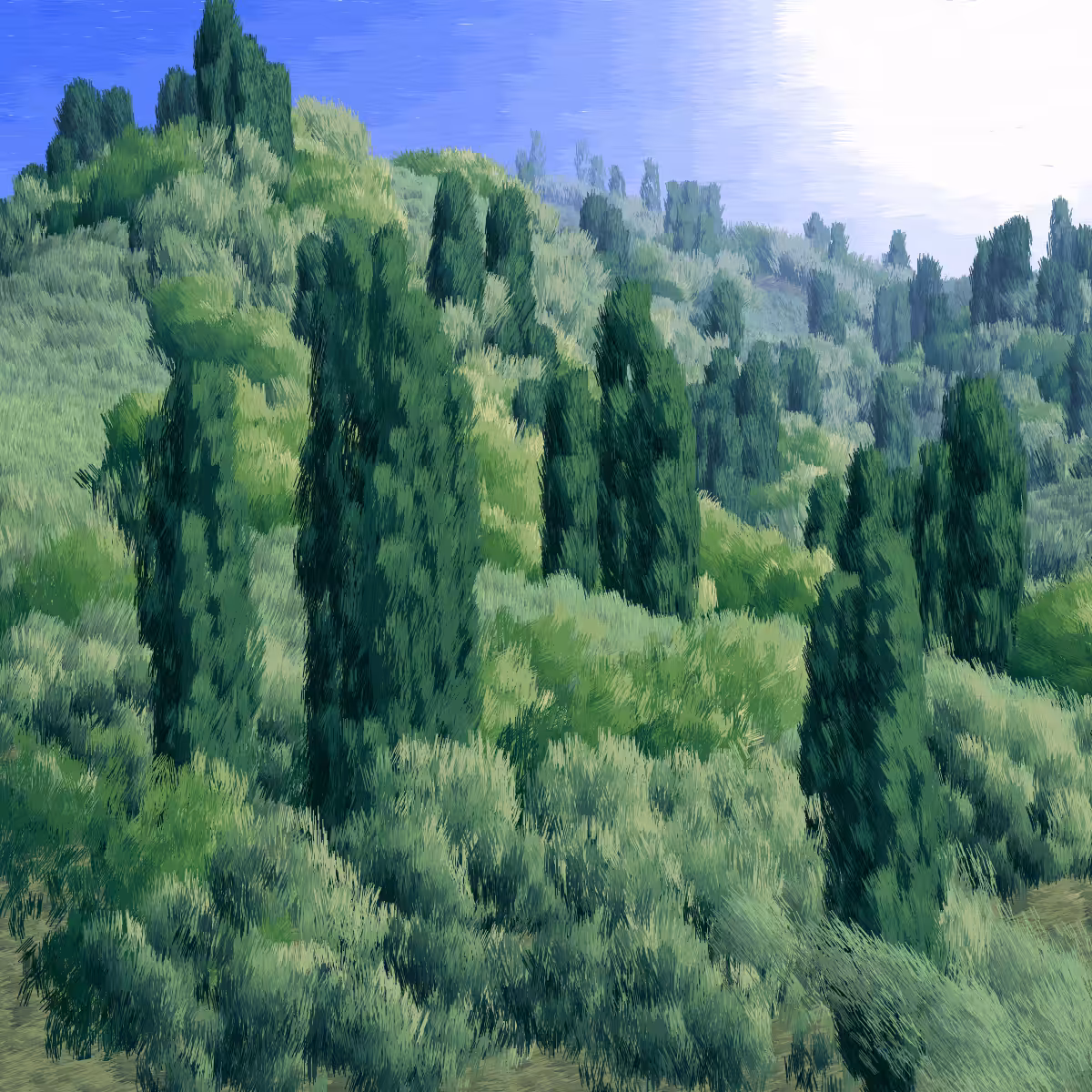 Provence #154