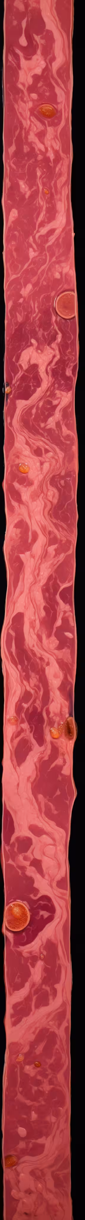 LONG MEAT ART