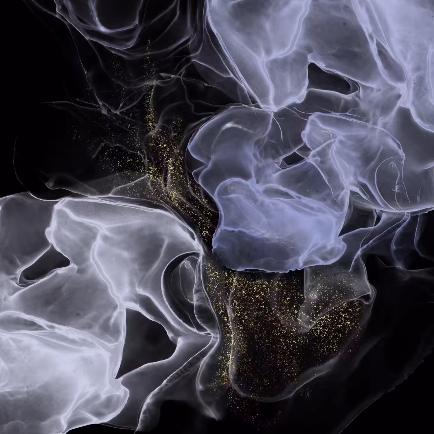 Flow Motion #9