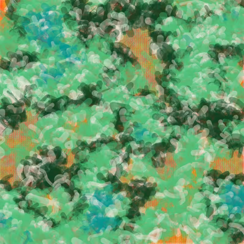 Petri 1500 #1226