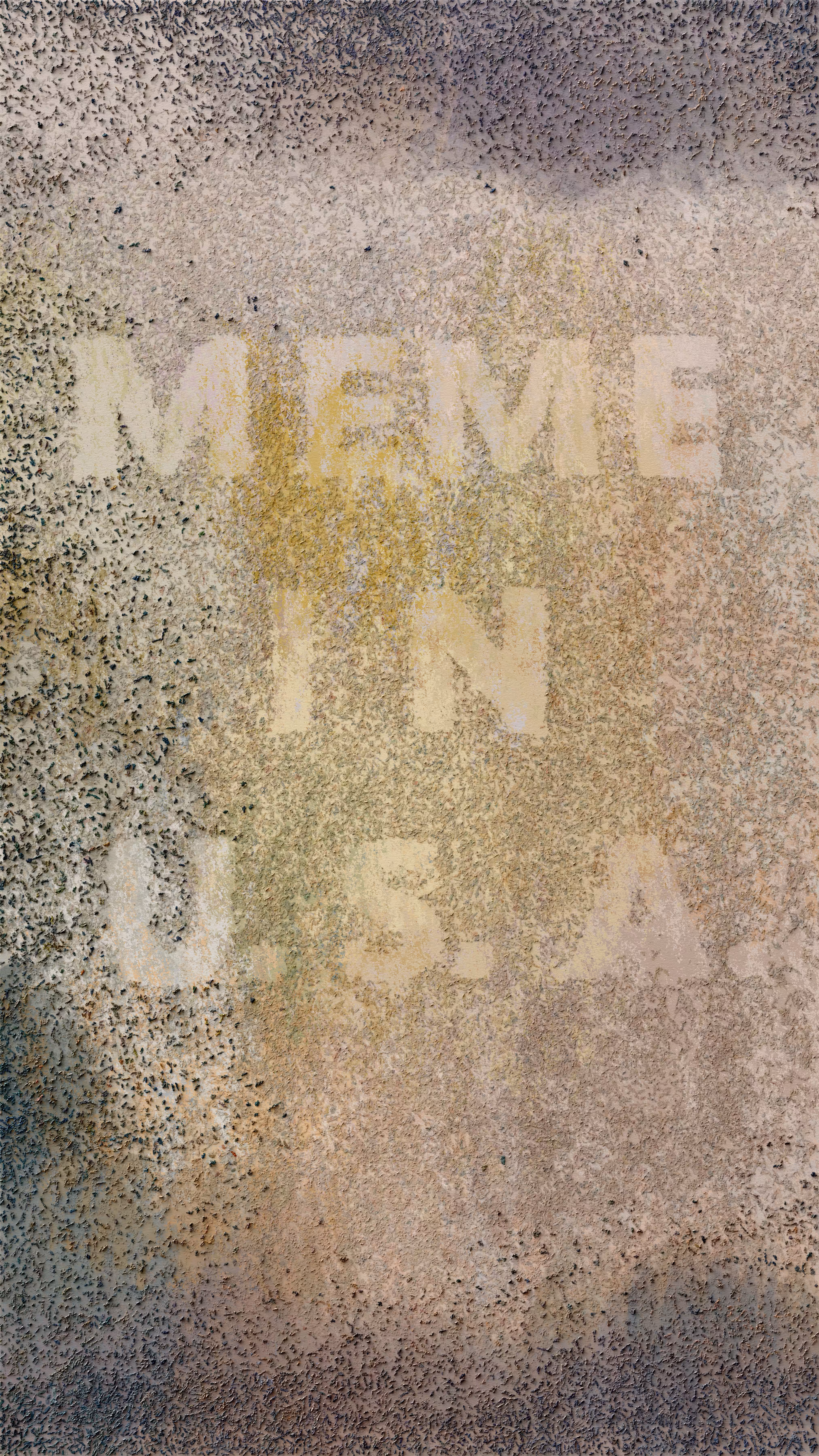 Meme In U.S.A