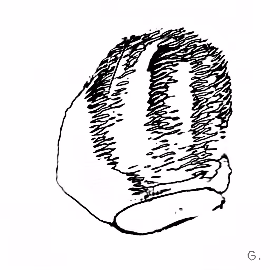 J48BAFORM #3658