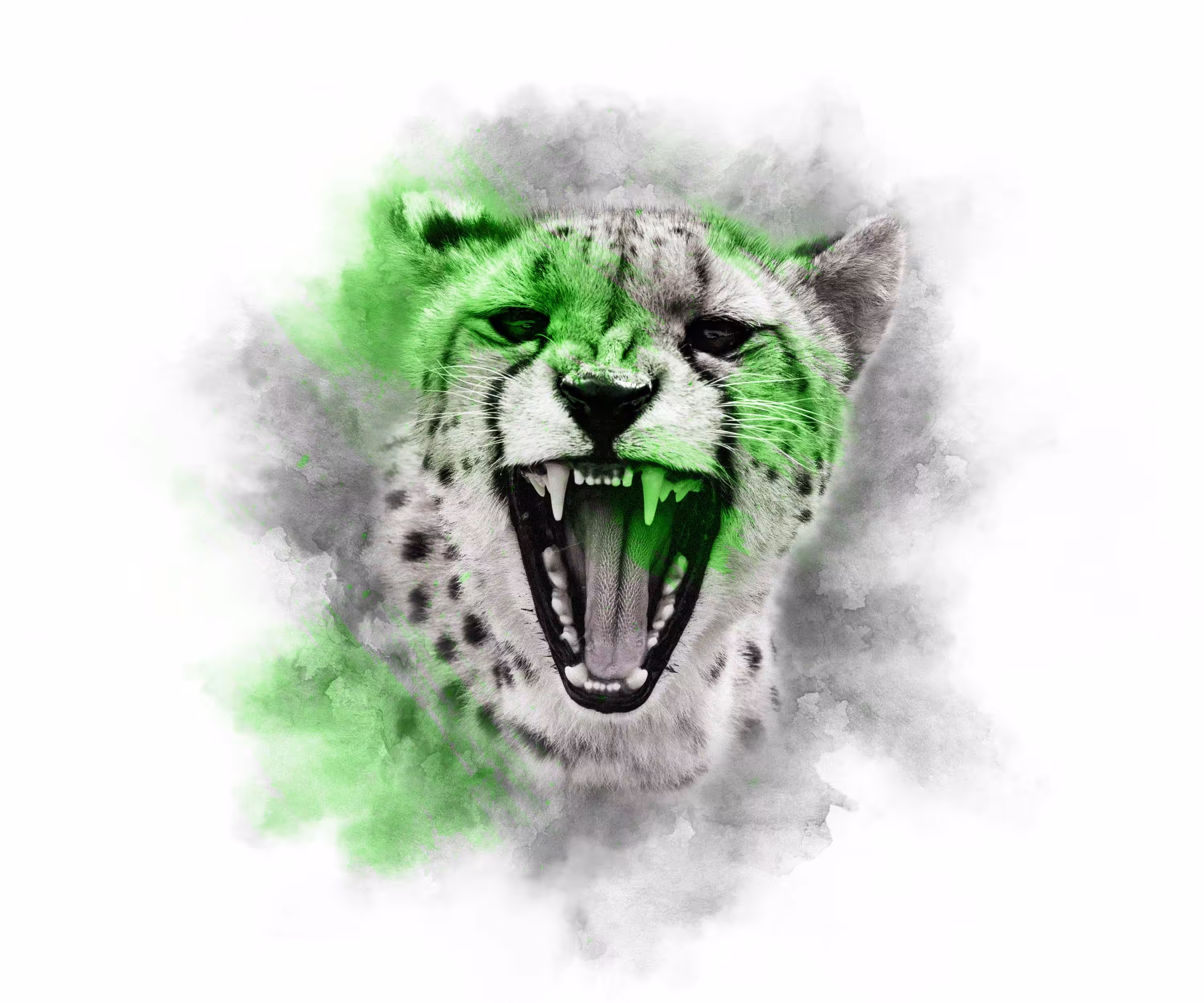 LIME SERIES - CHEETAH