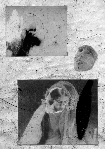 Shadows & Matter: If (...)