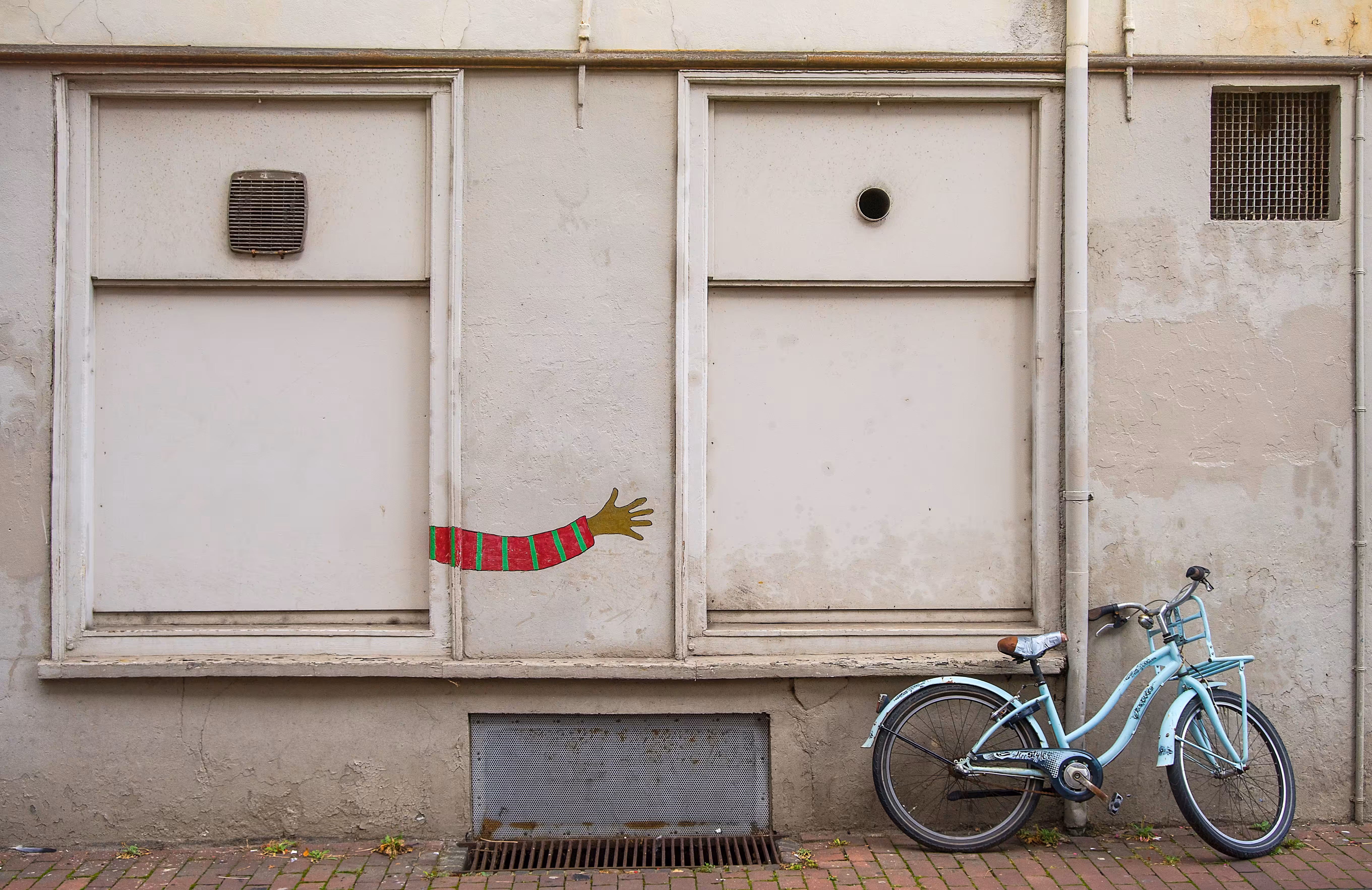 The bicycle thief
