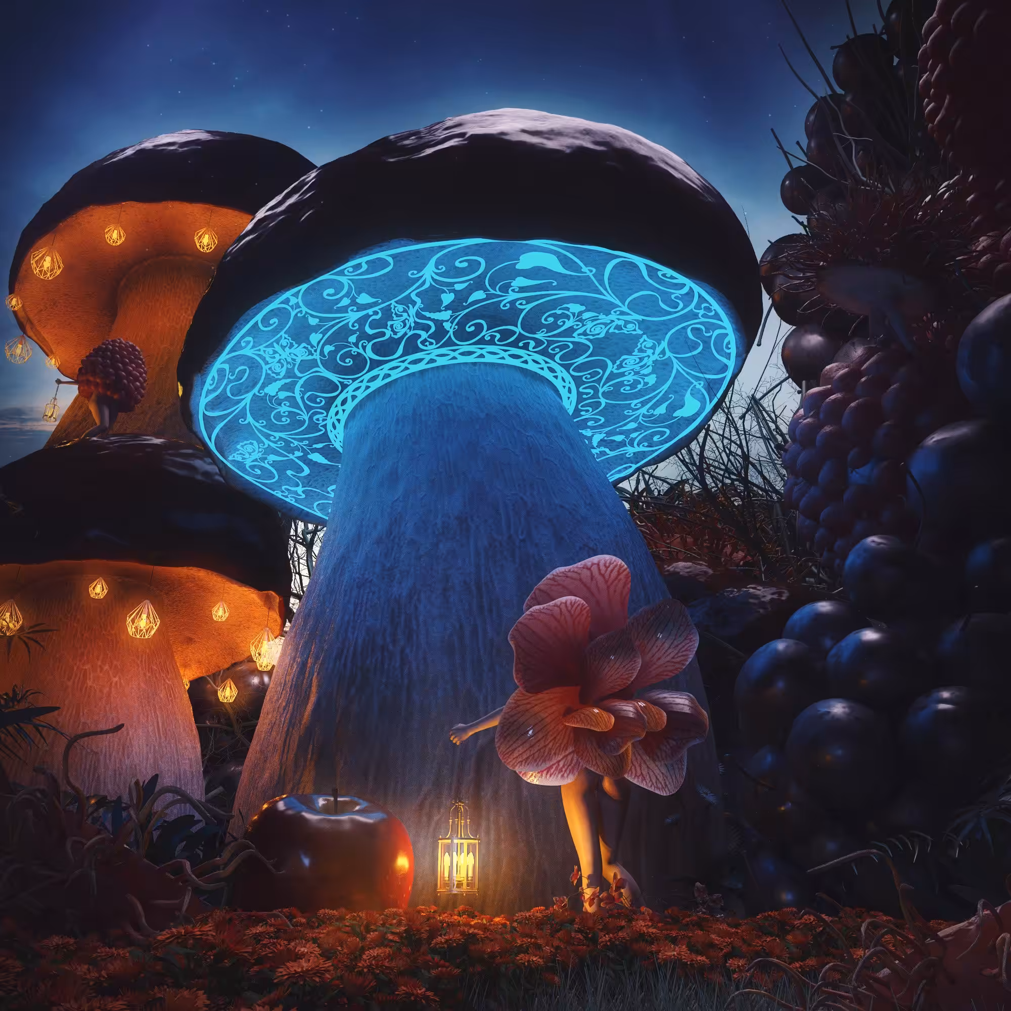 Wonderland