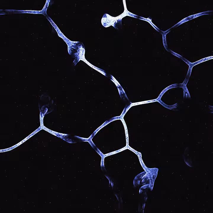 Neuron Network #009