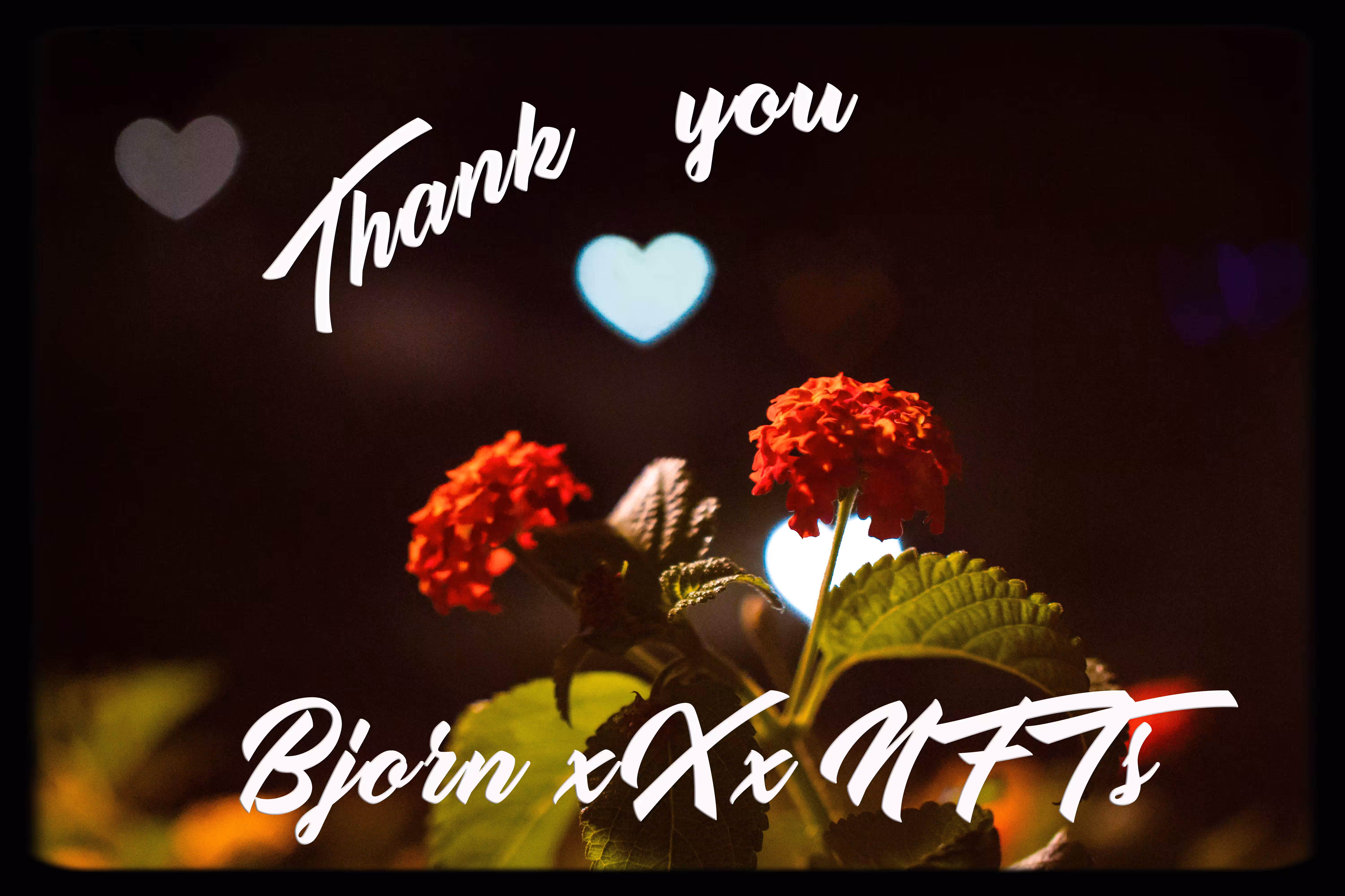 Thank You Bjorn xXx NFTs