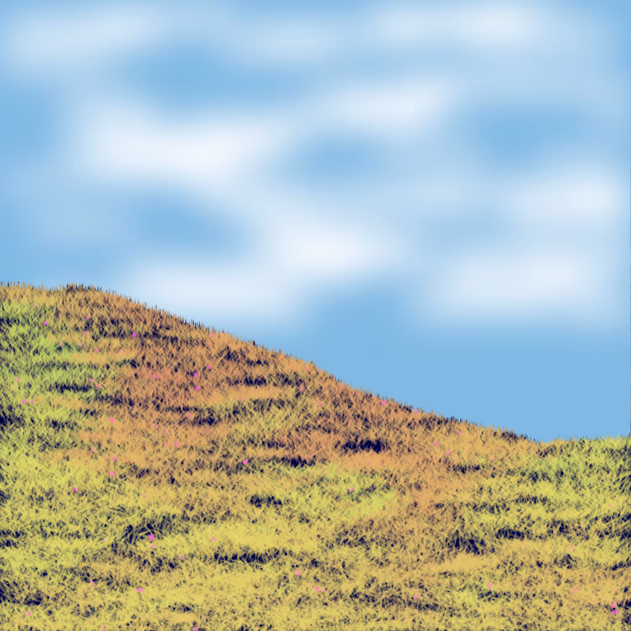 Grassy Knoll #6