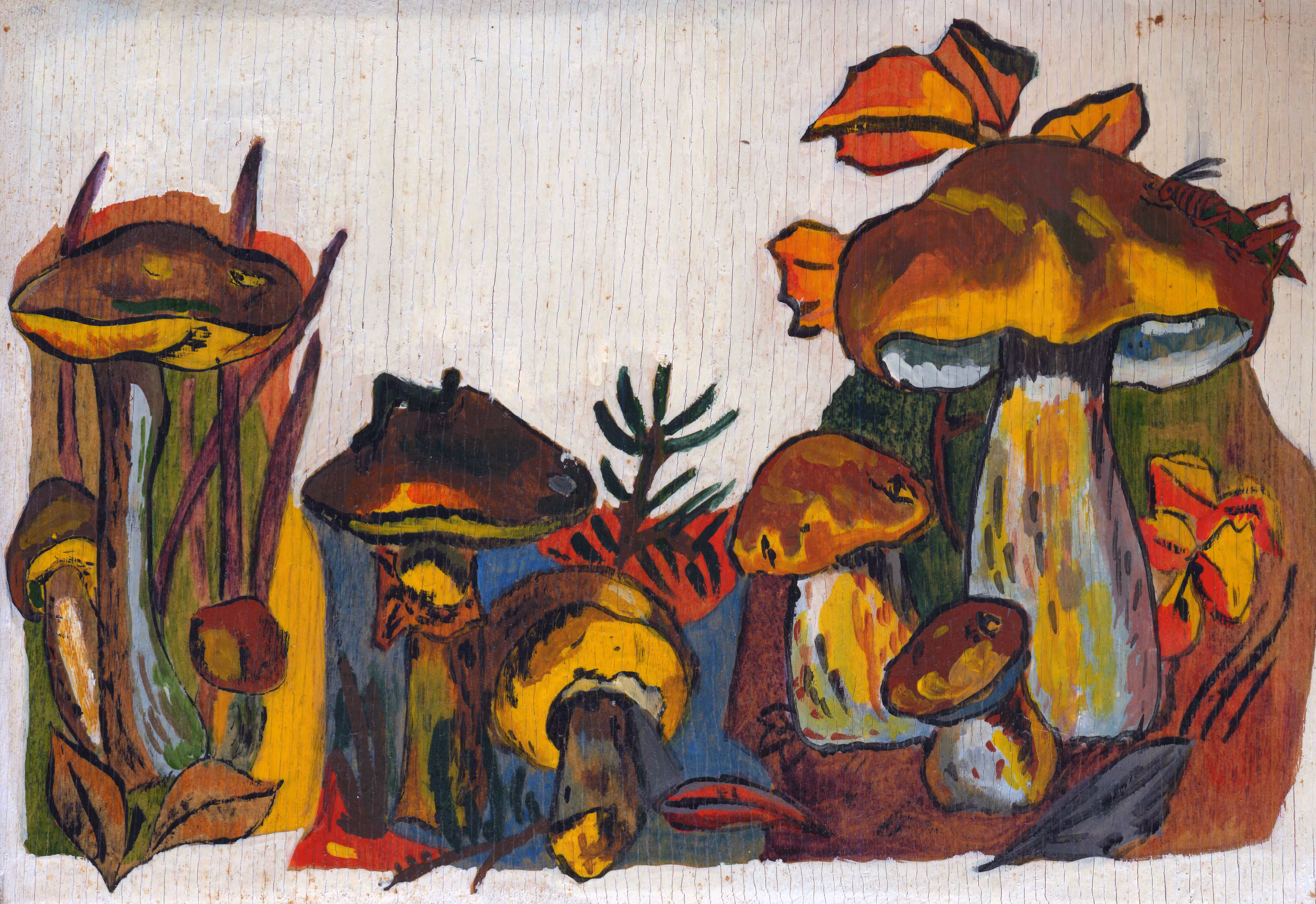 Mushroom meadow