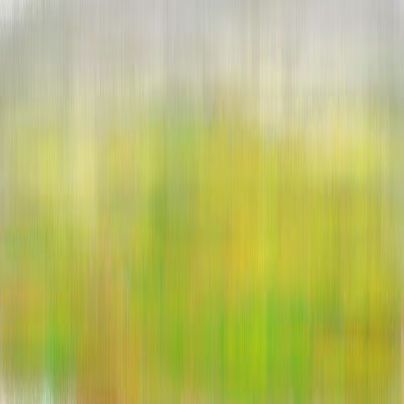 Hatch Field 001 #95