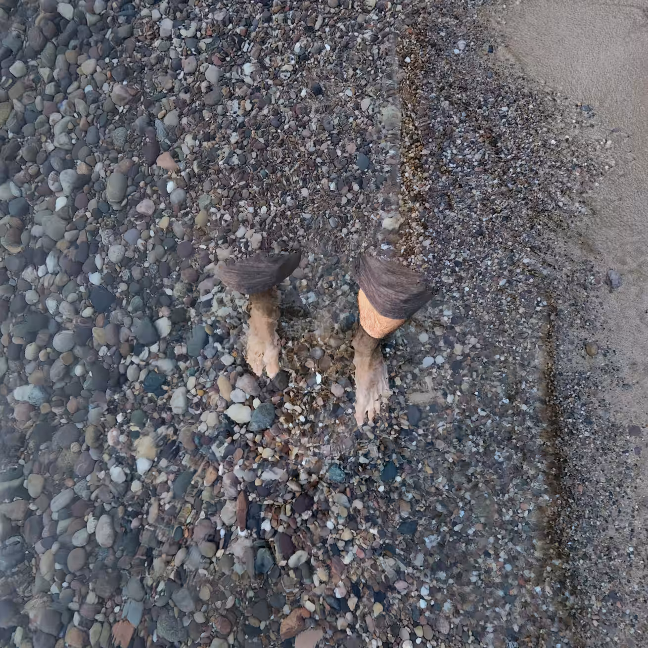 Digital Traces: StreetViewFeet #25