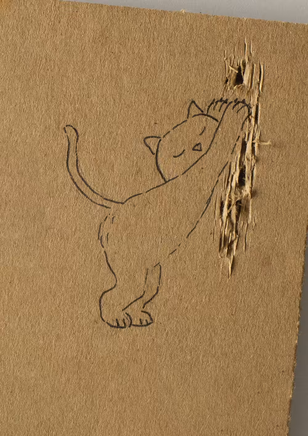 Cat-board