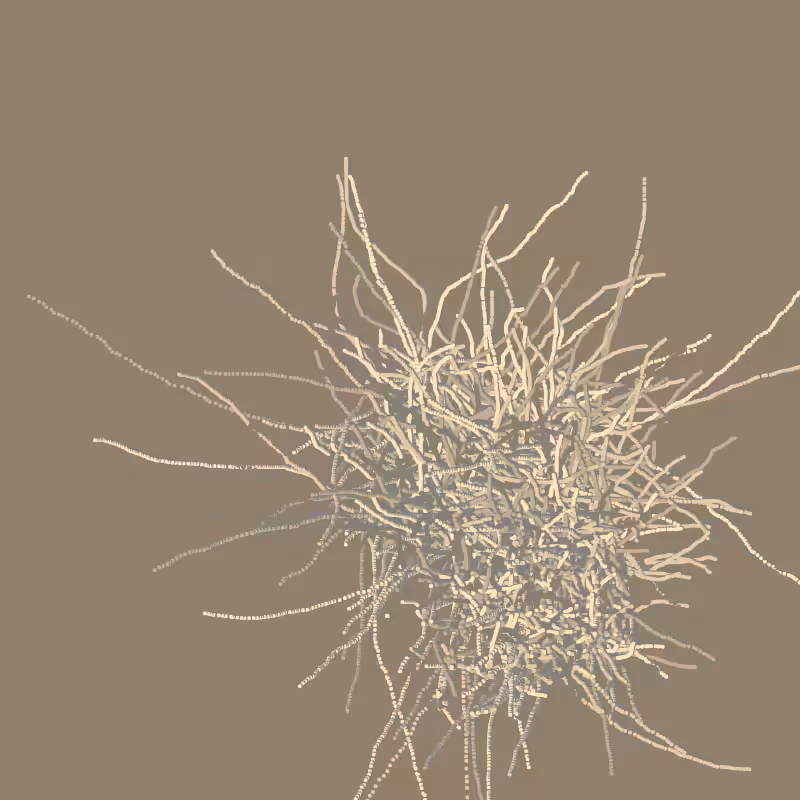 fibinous infection #14