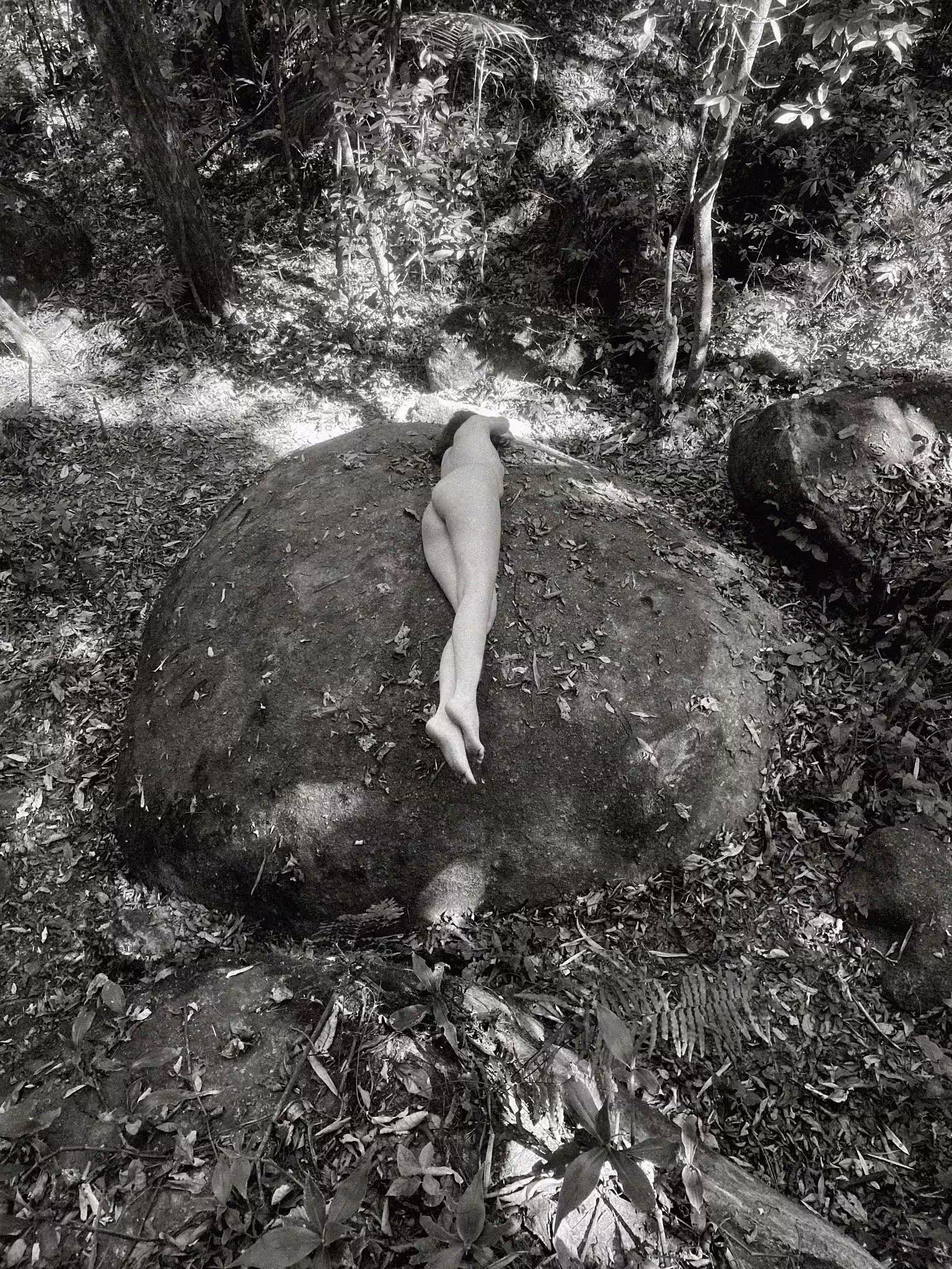 The forest inside me #2