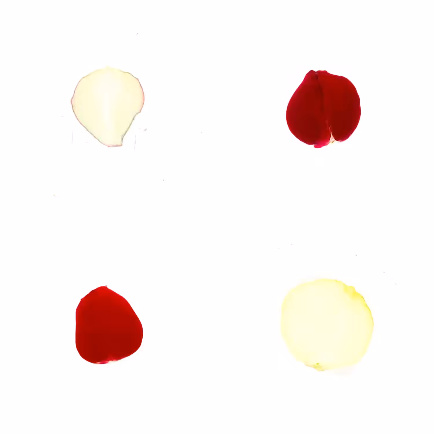 Infinite Petals 2x2#3157