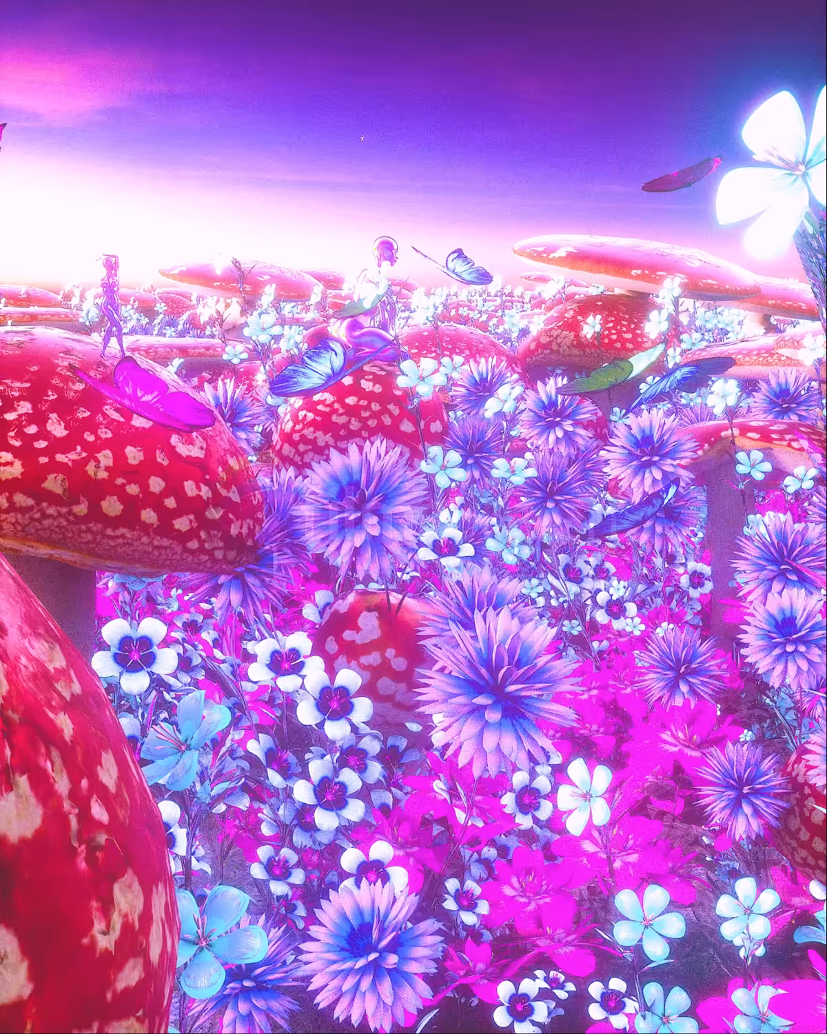 Amanita muscaria