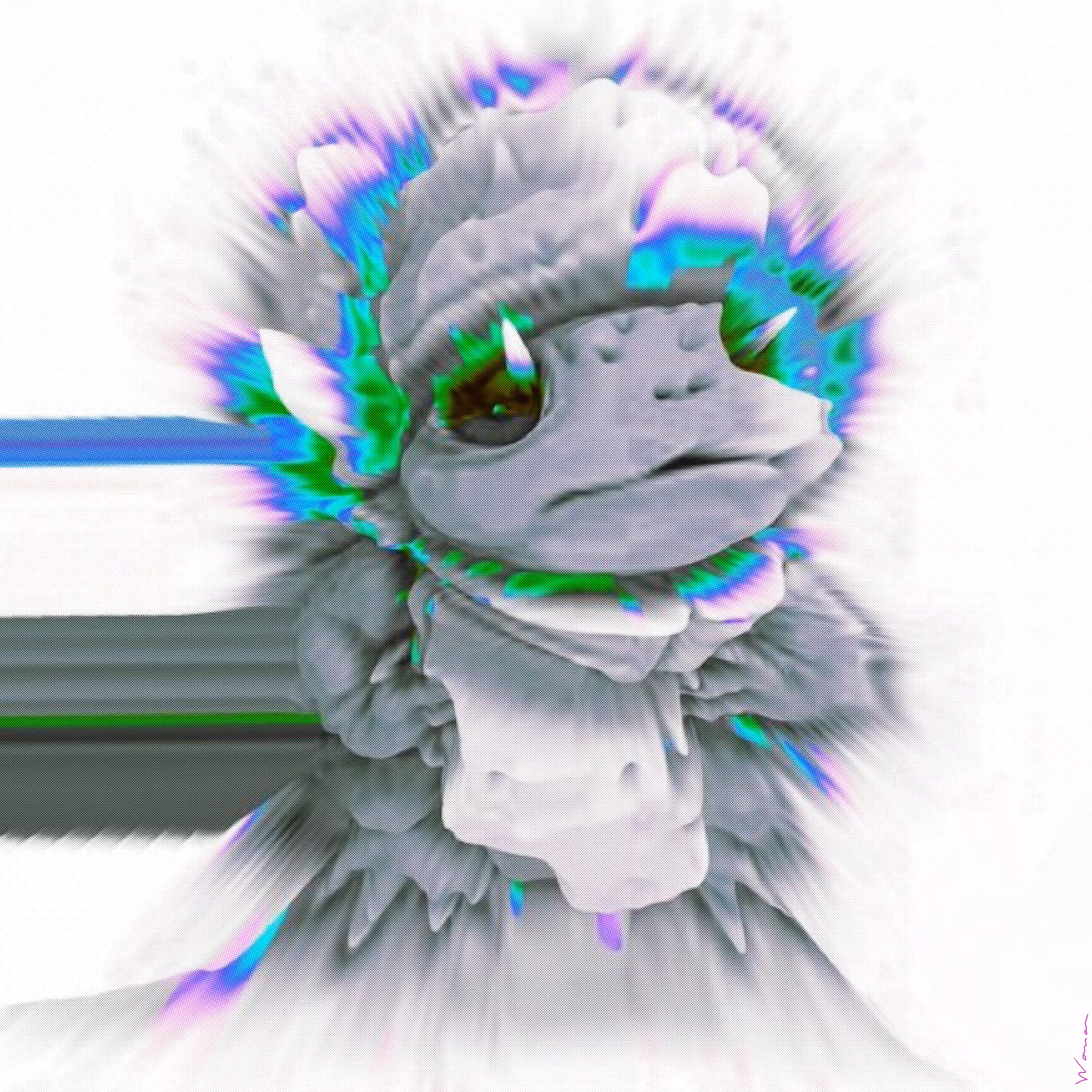 Woman 2023: $Turbo 