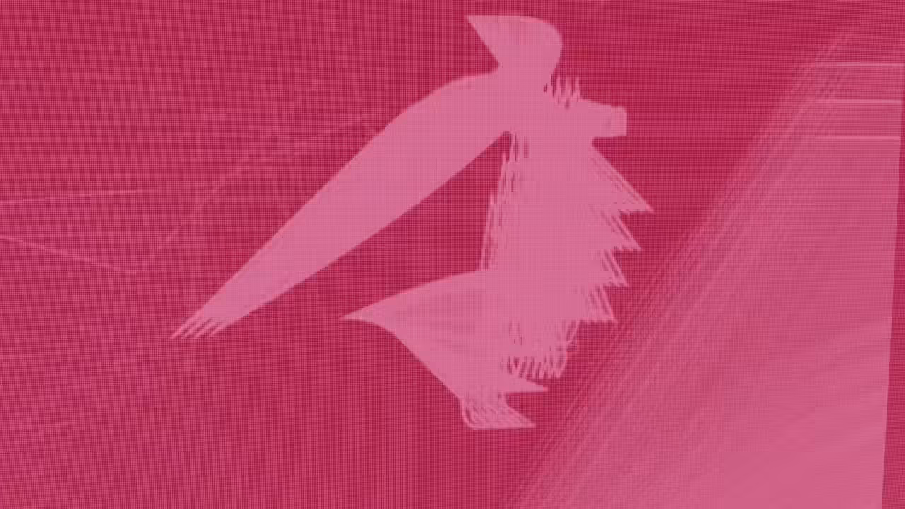 Pink y sx