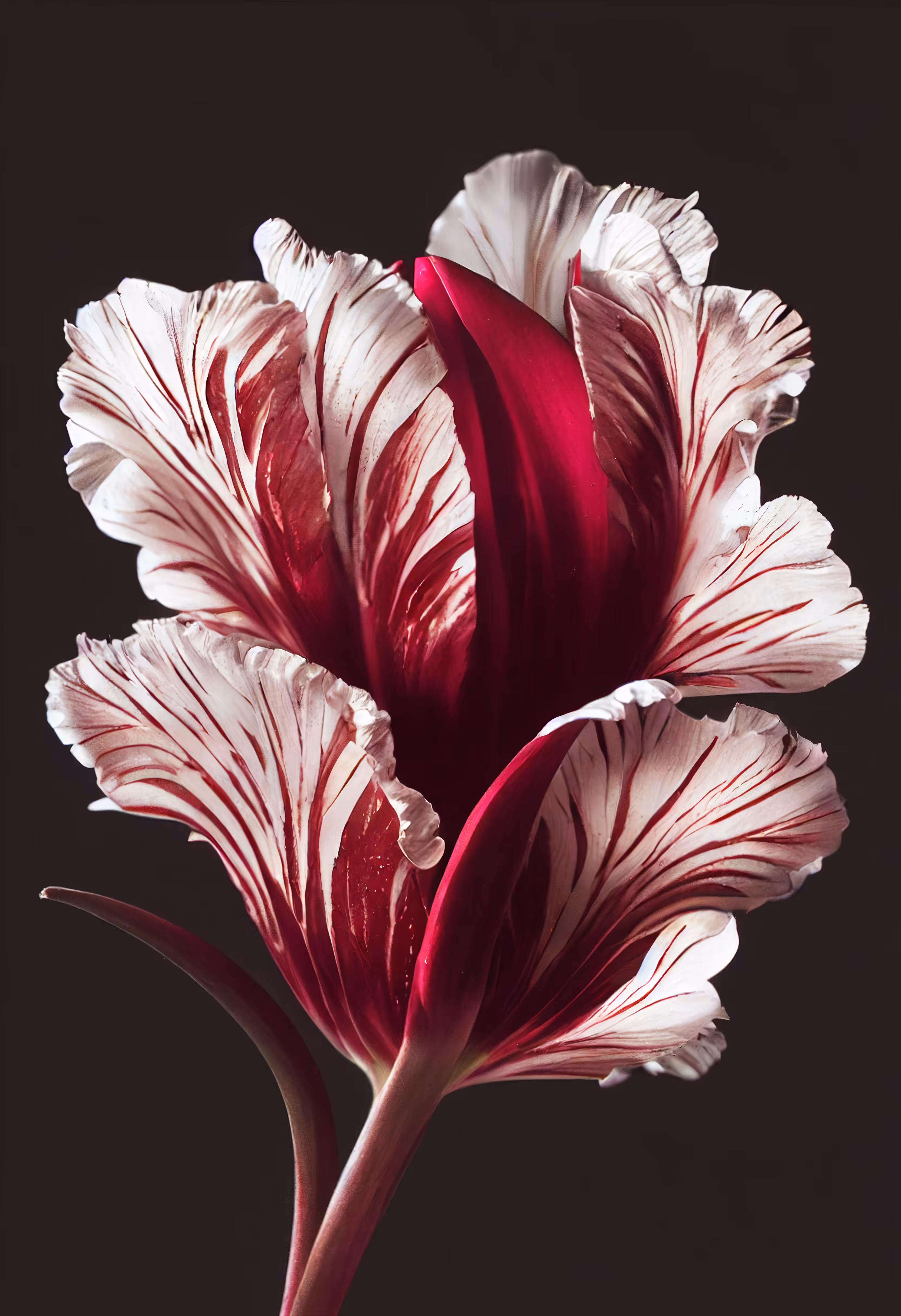 A Flower, Just For You. #73