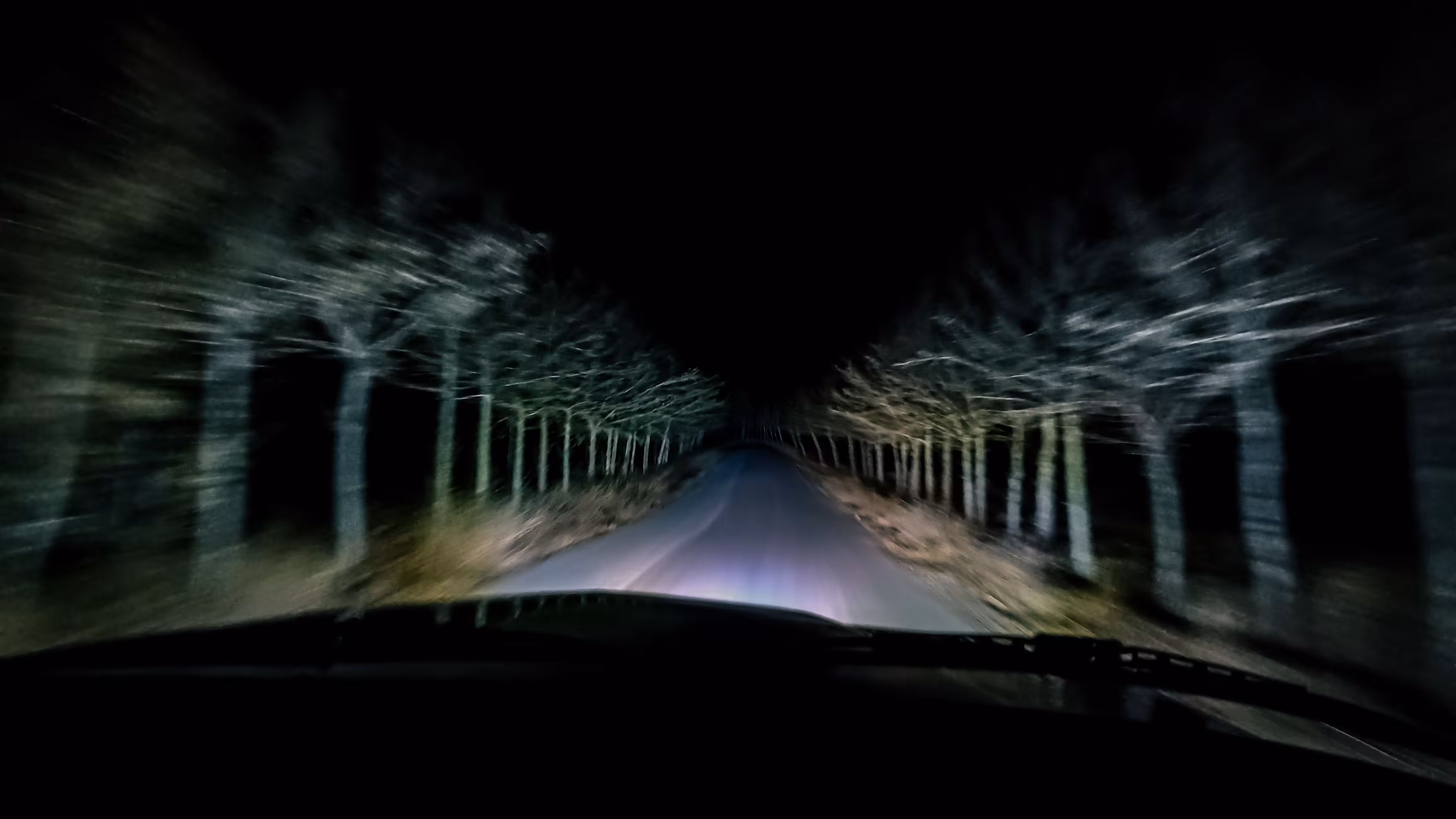 Wrong Turn