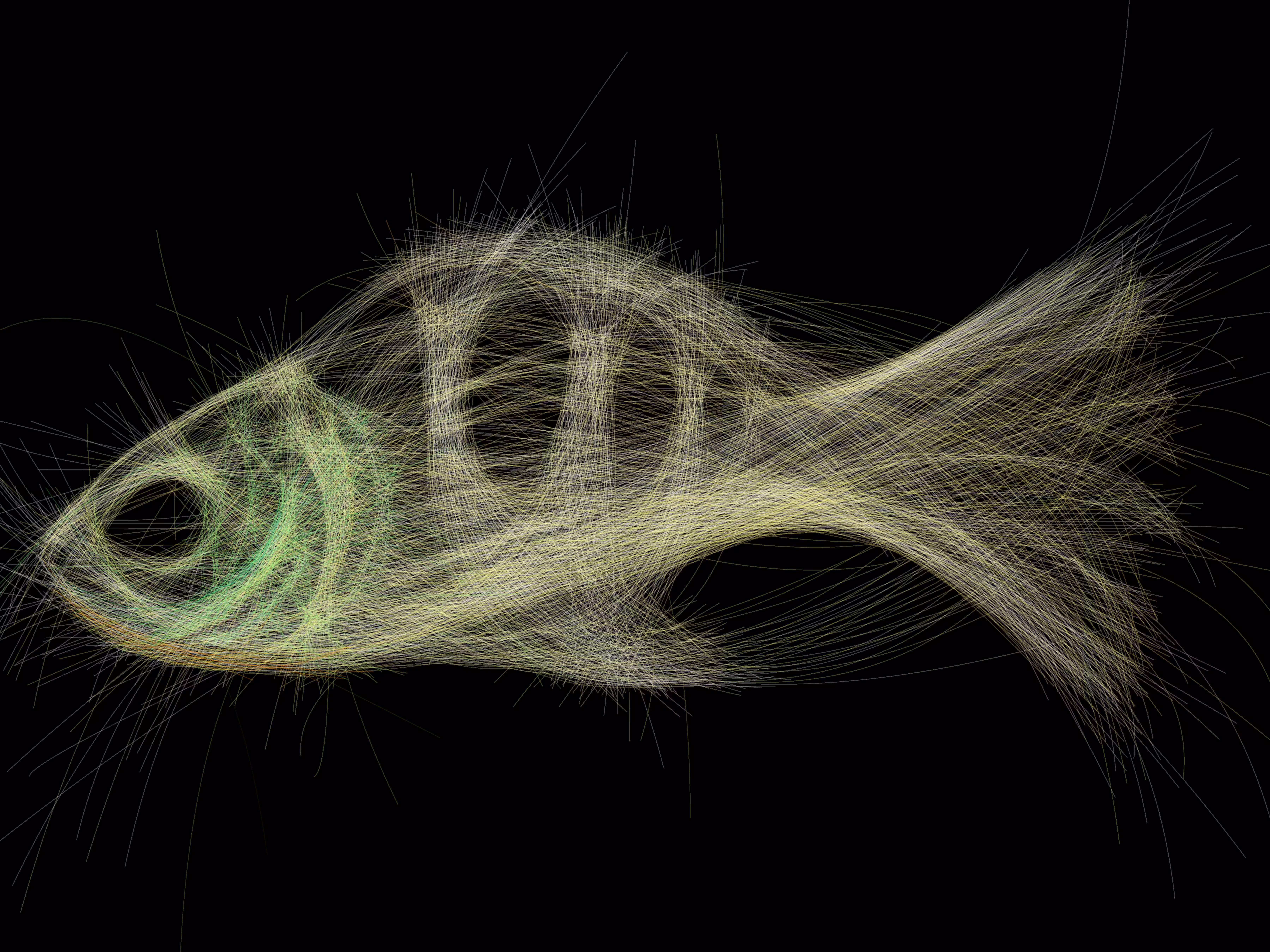 UNDERWATER: Underwater 20