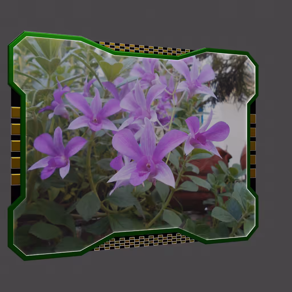 Dendrobium Bigibbum